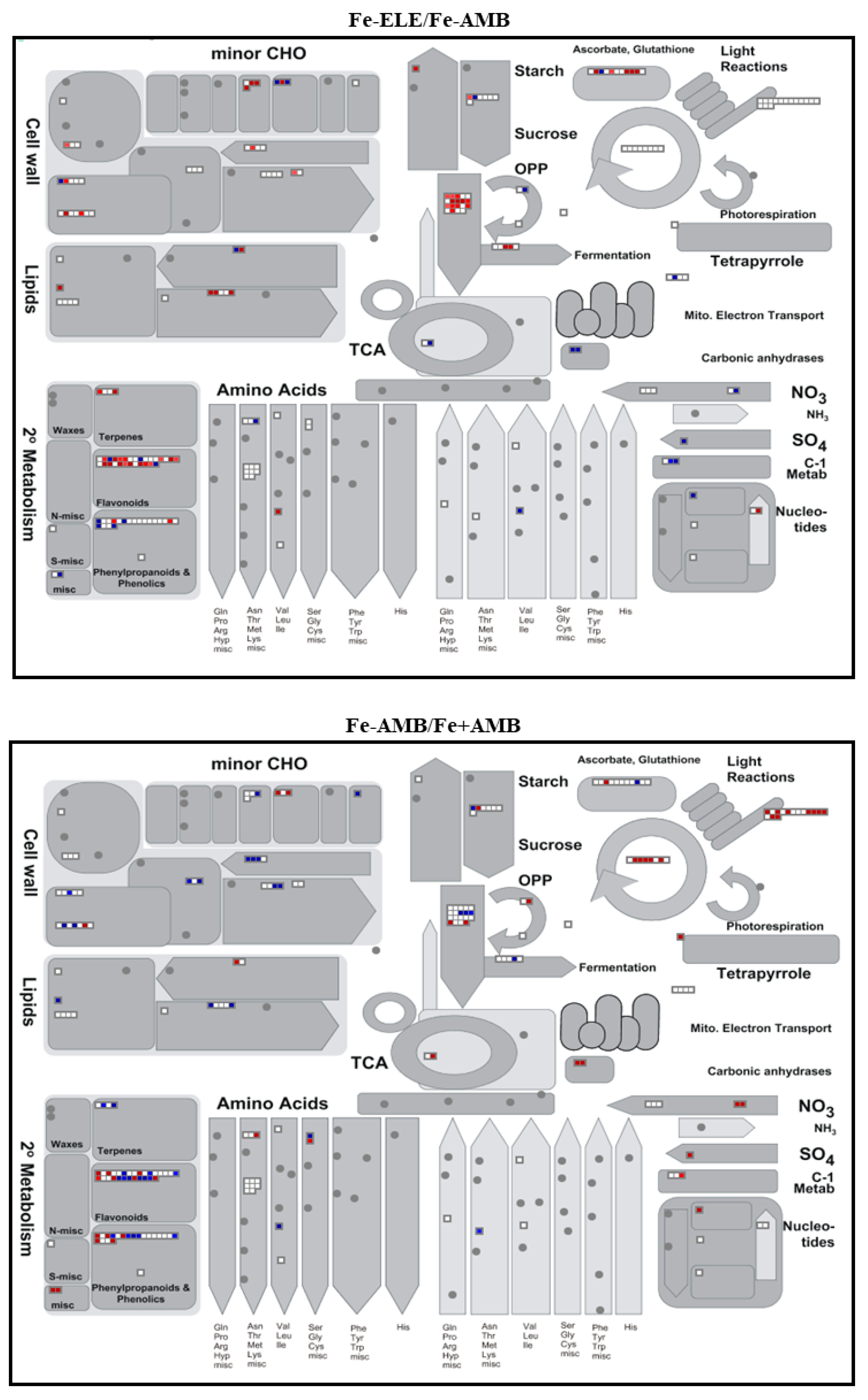Ijms 23 13632 g002b Ijms 23 13632 g002b