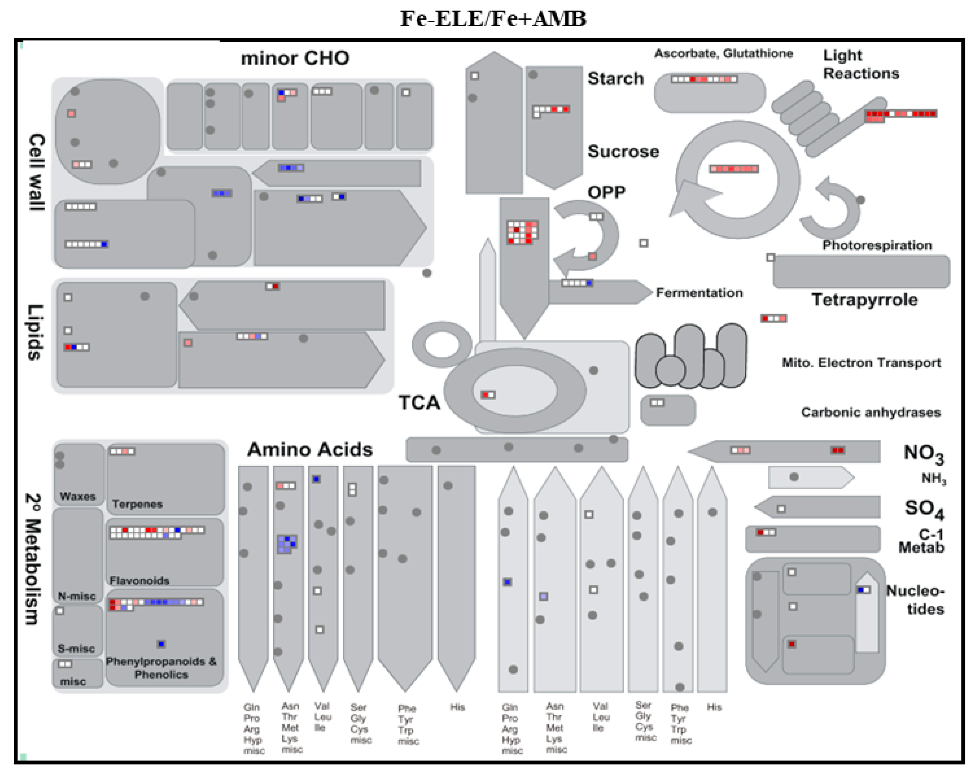 Ijms 23 13632 g002c Ijms 23 13632 g002c