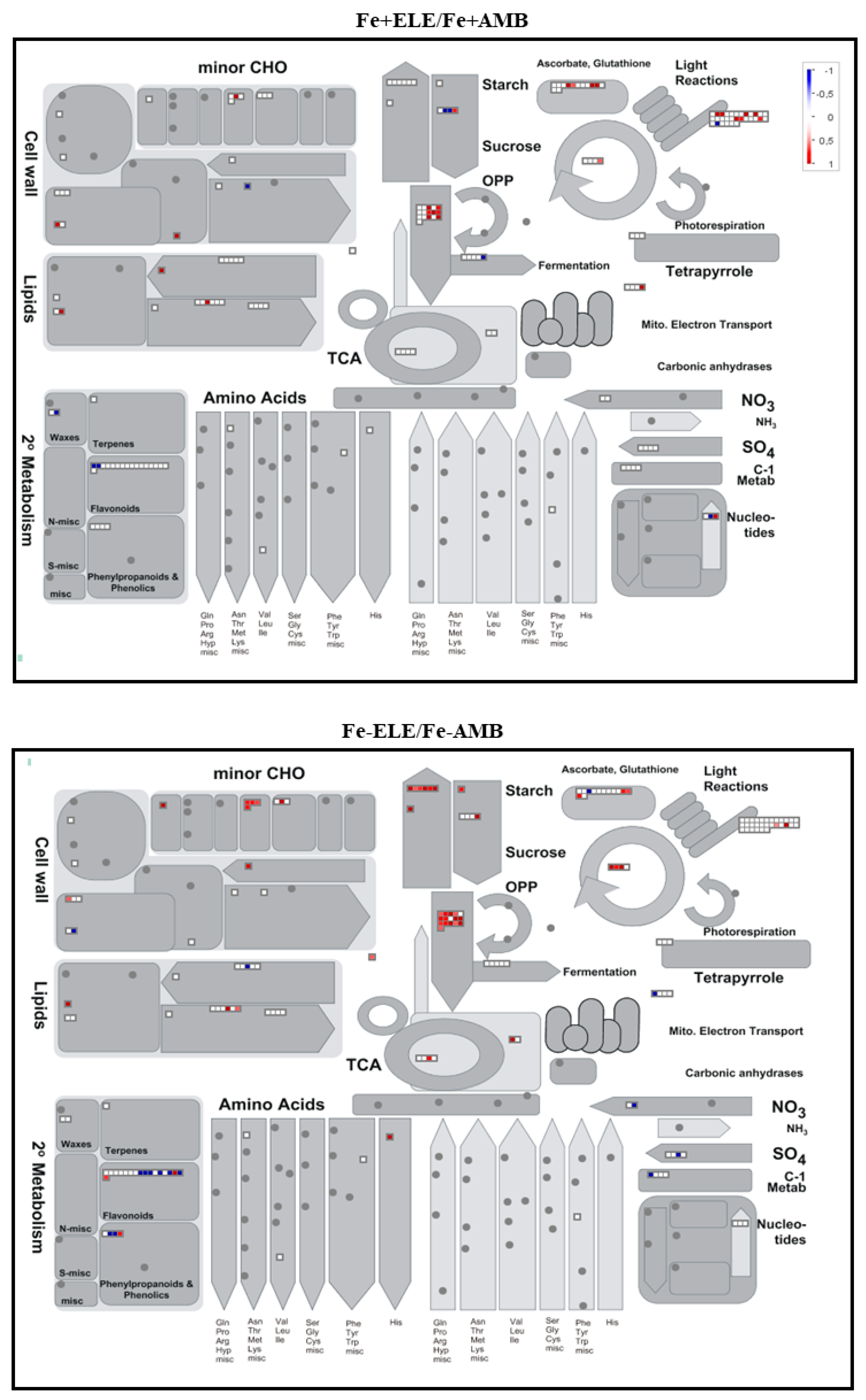 Ijms 23 13632 g005a Ijms 23 13632 g005a