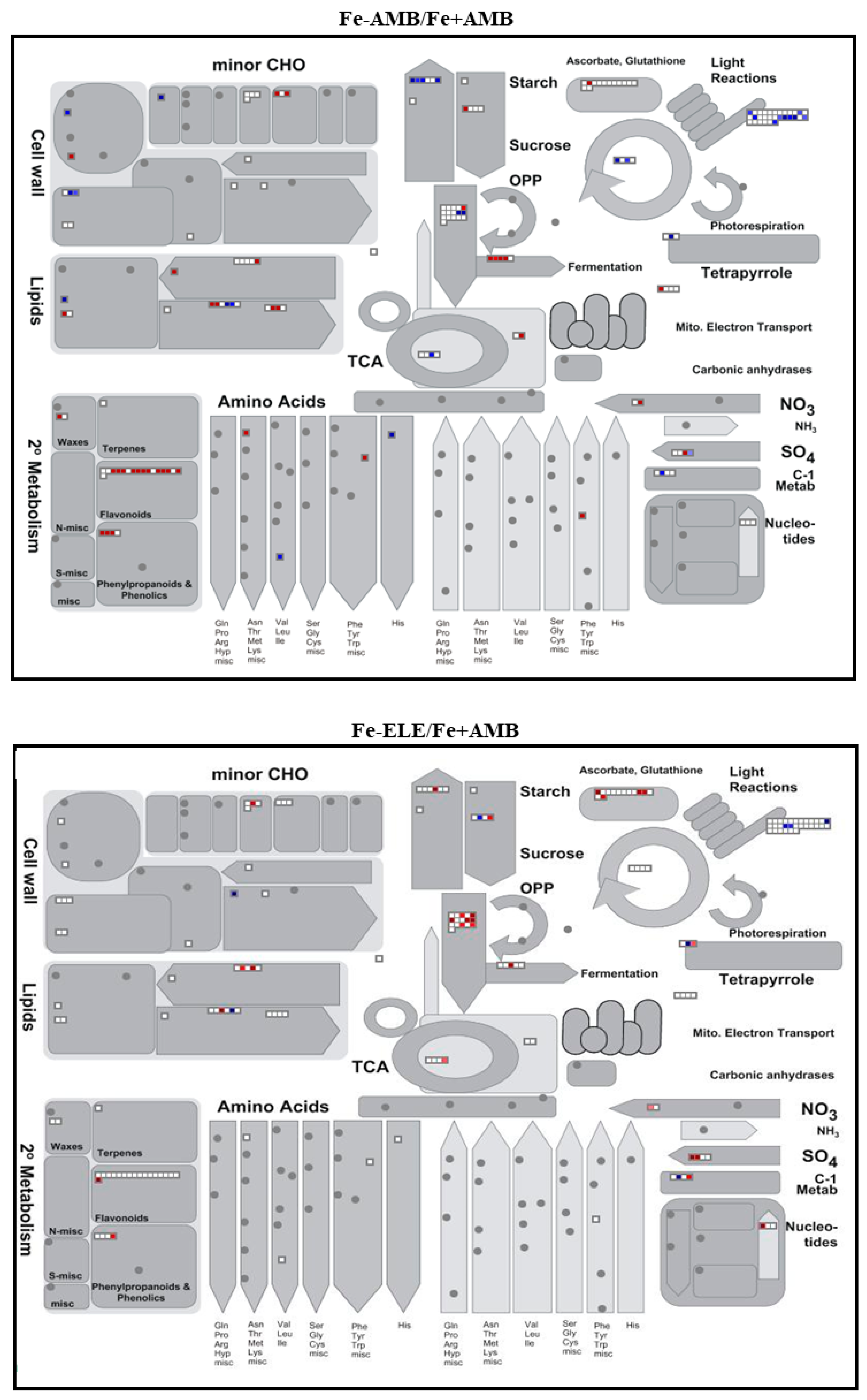 Ijms 23 13632 g005b Ijms 23 13632 g005b