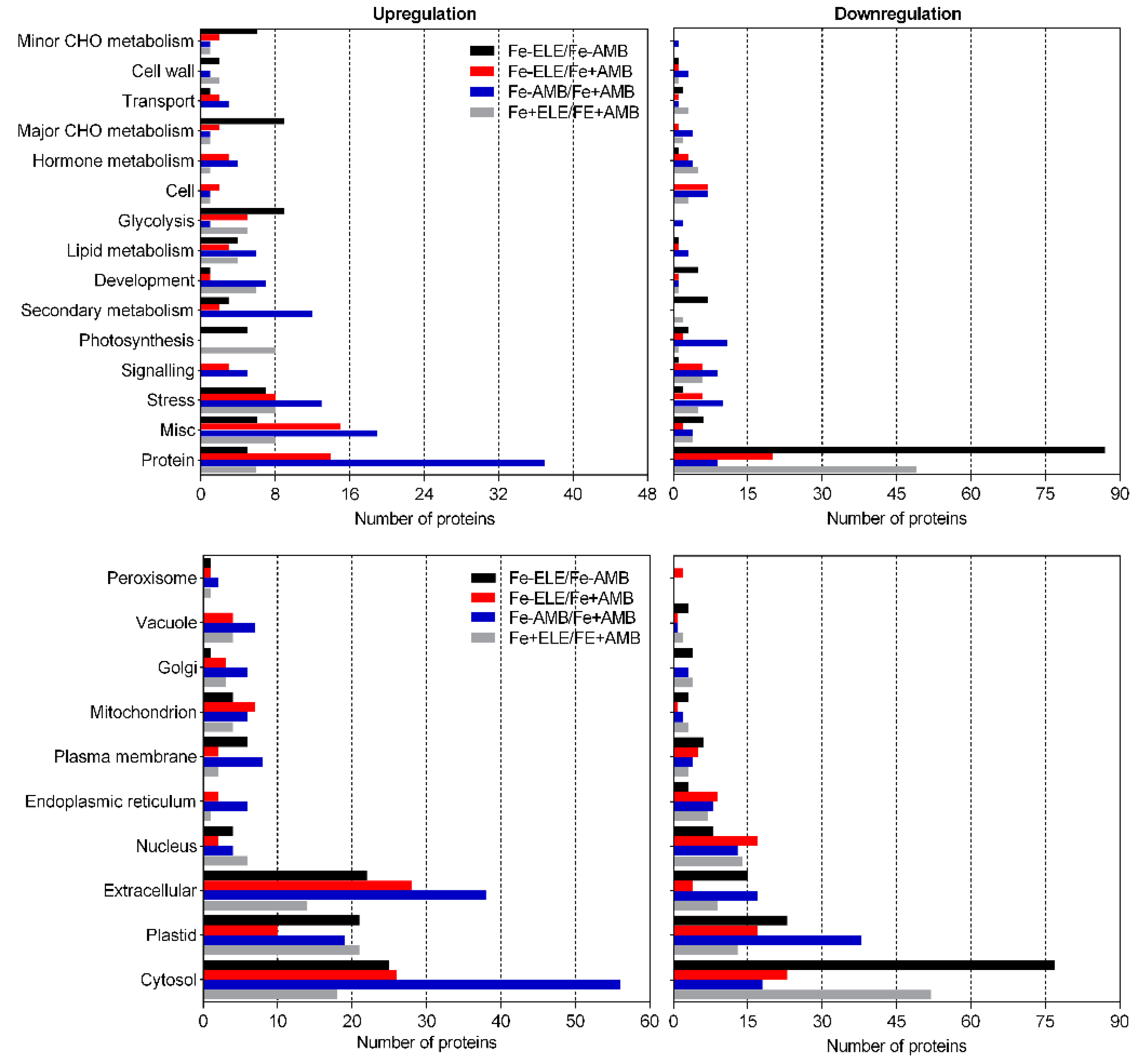 Ijms 23 13632 g006 Ijms 23 13632 g006