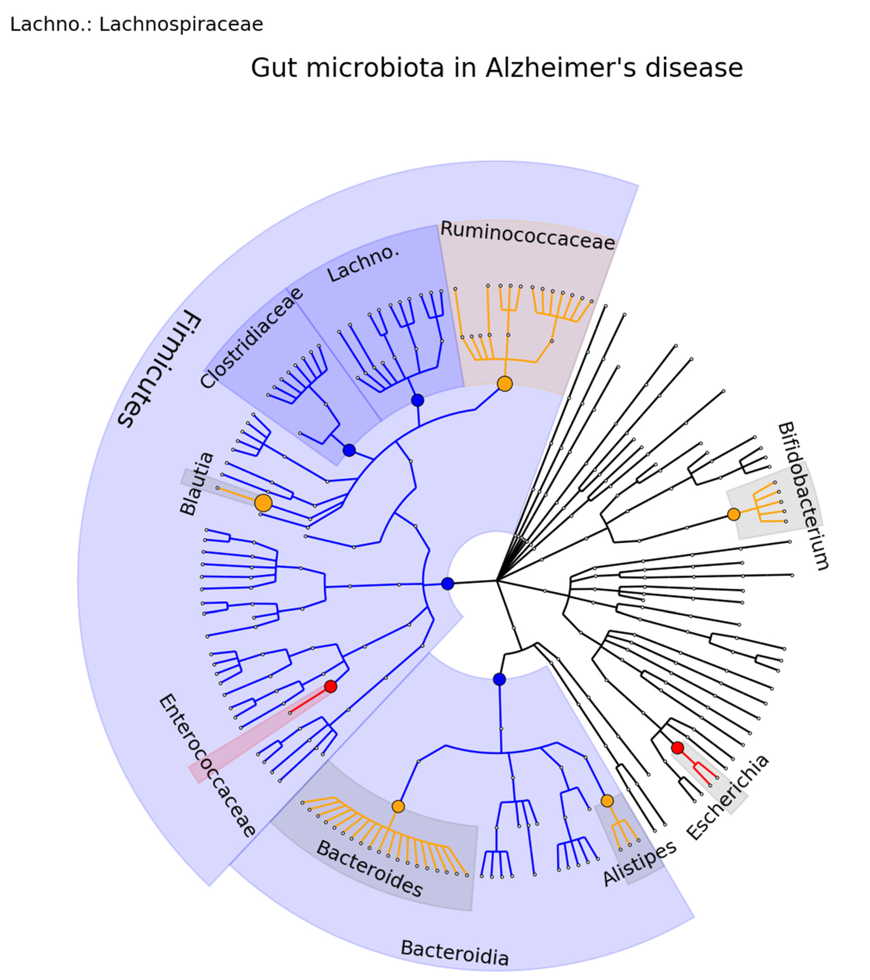Ijms 23 13665 g004 Ijms 23 13665 g004