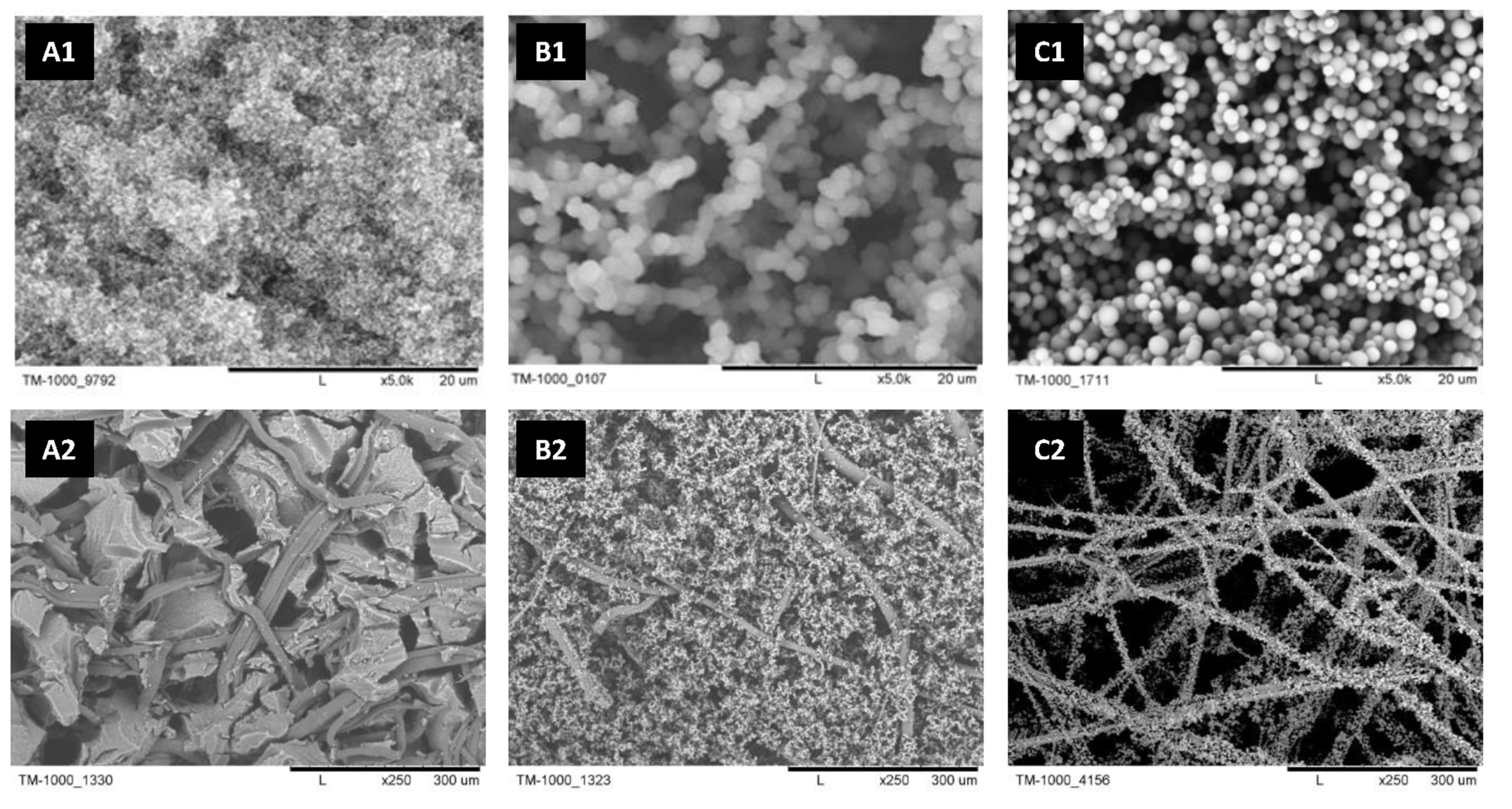 Ijms 23 13669 g003 Ijms 23 13669 g003