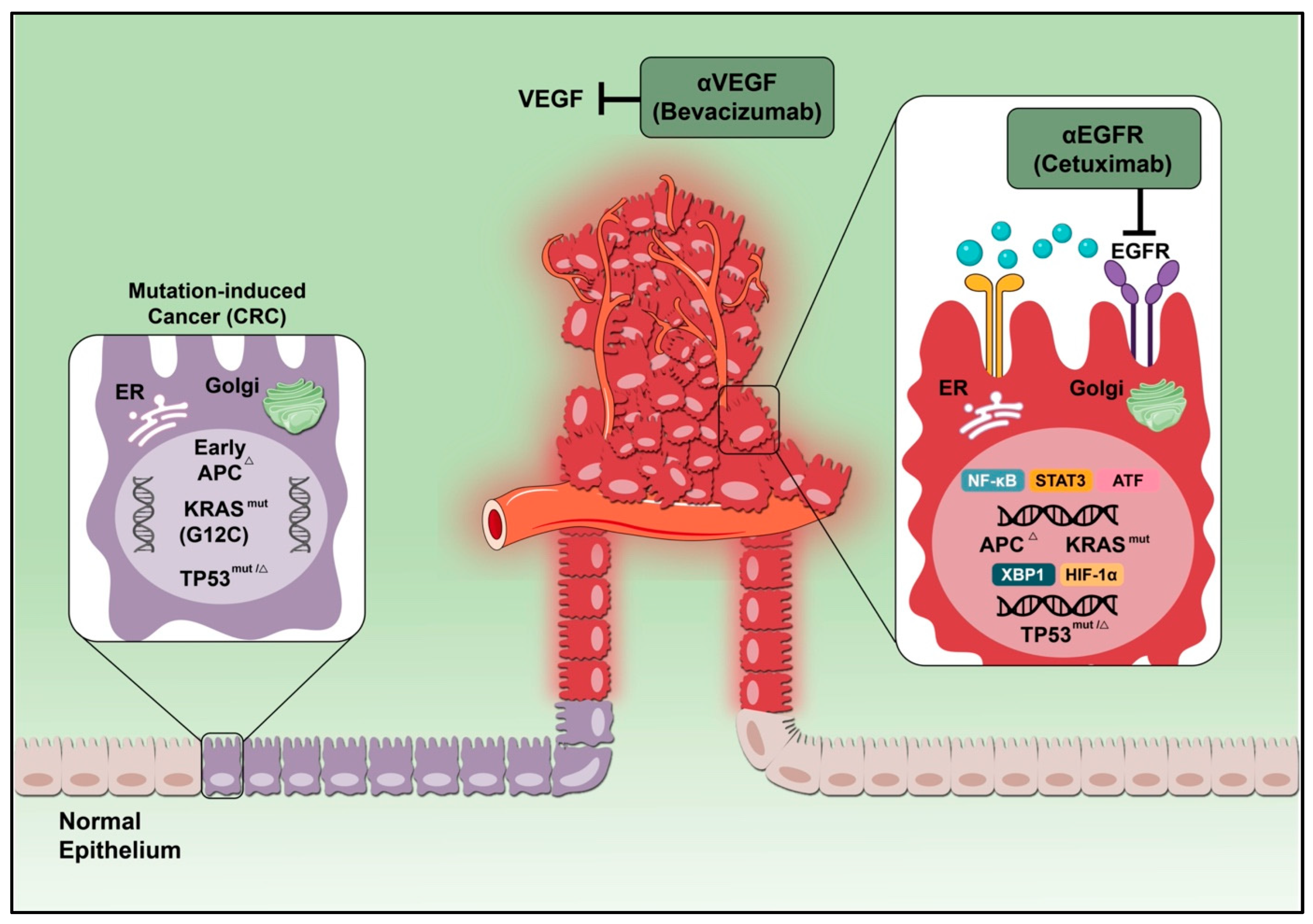 IJMS | Free Full-Text | Recruiting Immunity for the Fight against  Colorectal Cancer: Current Status and Challenges