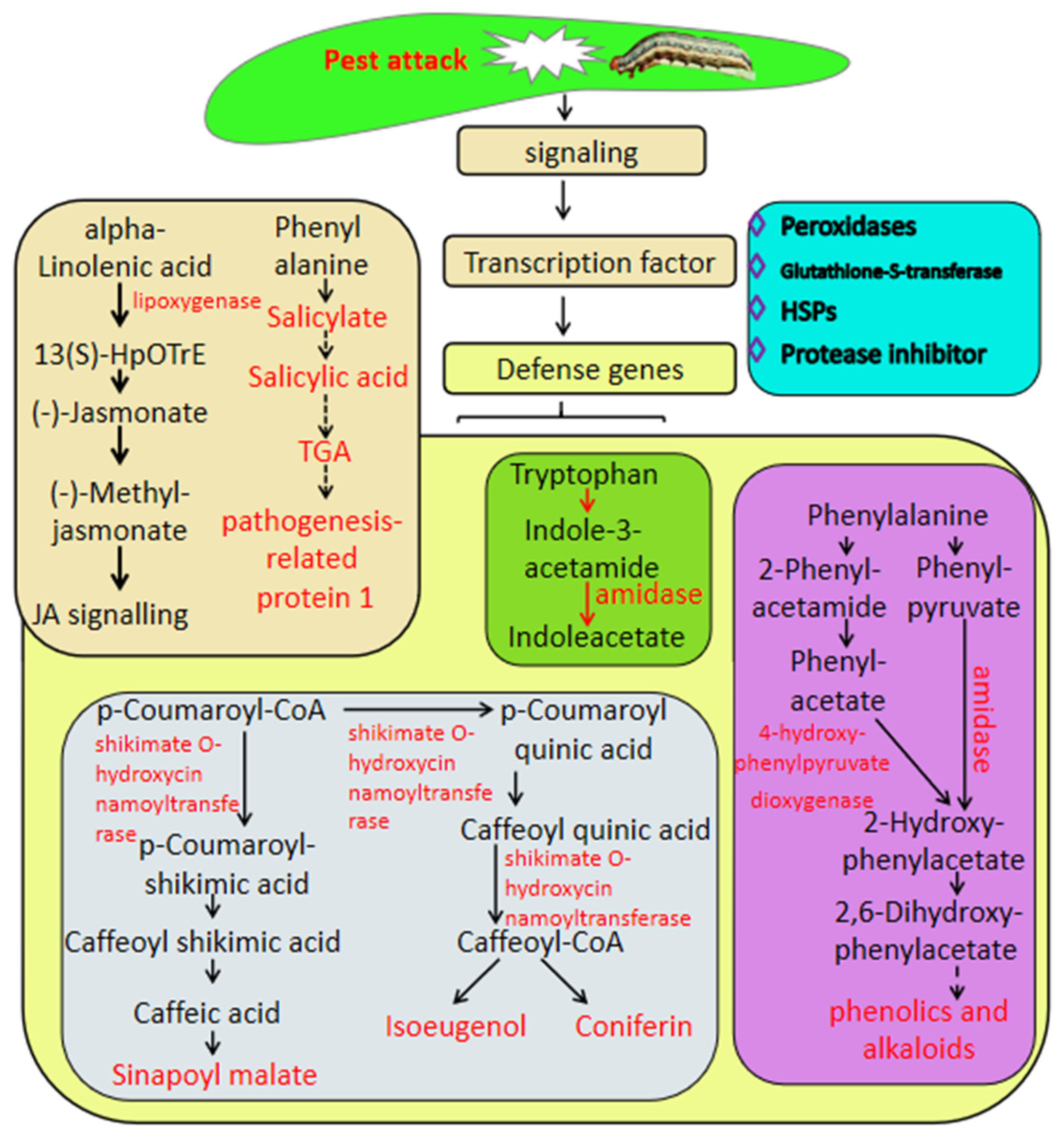 Ijms 23 13712 g006 Ijms 23 13712 g006