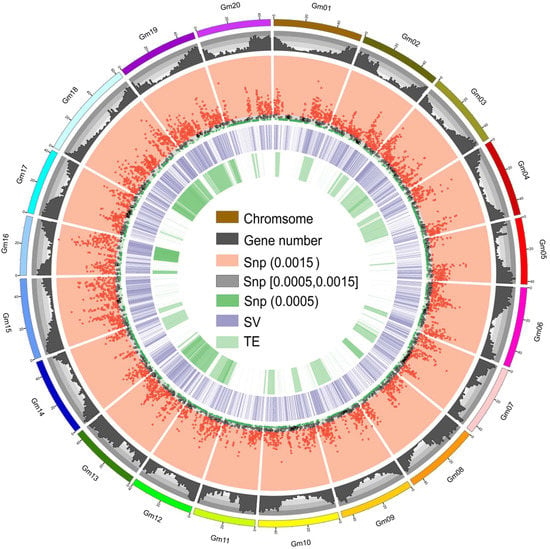 IJMS | Free Full-Text | Genome-Wide Comparison of Structural Variations ...