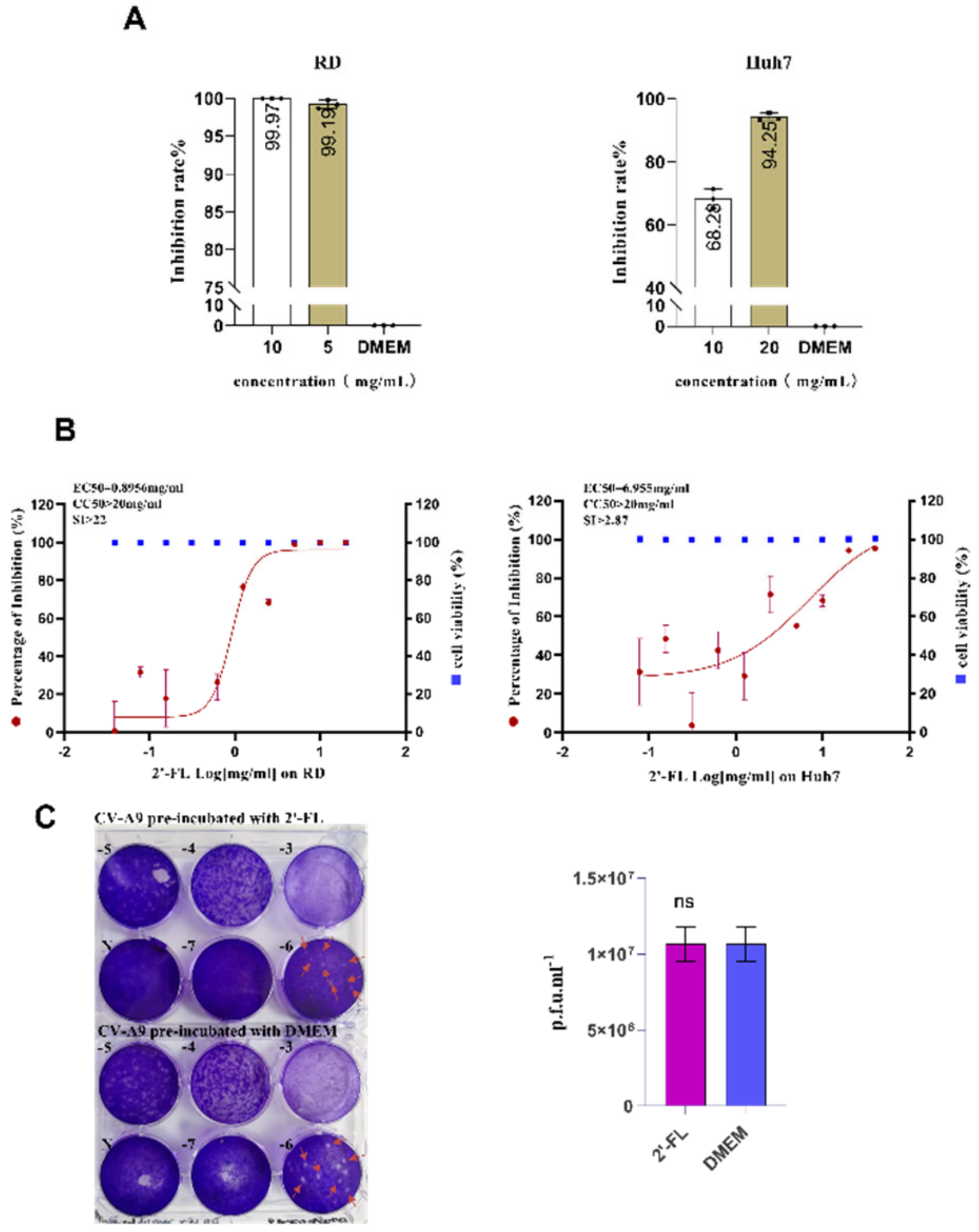Ijms 23 13727 g002 Ijms 23 13727 g002