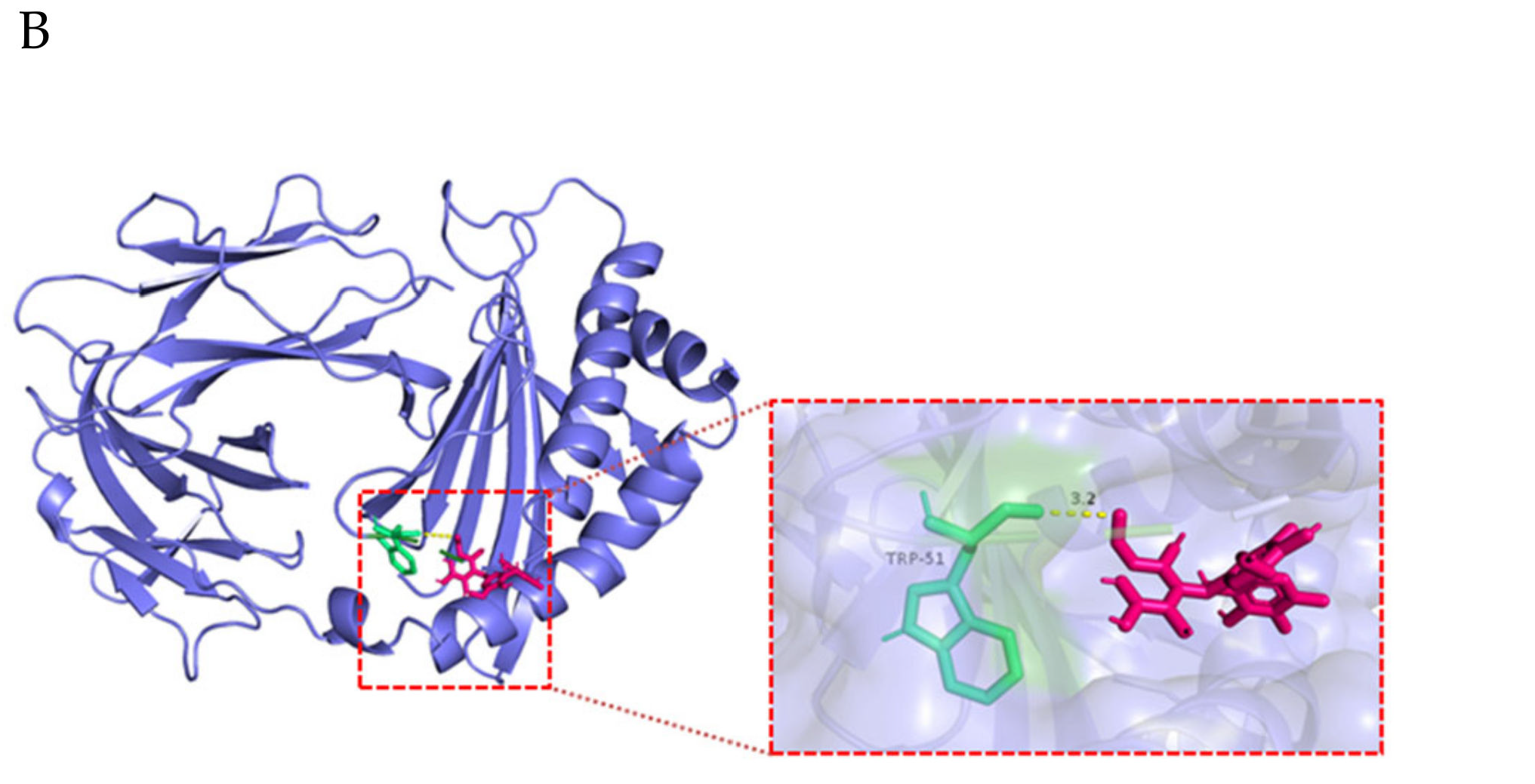 Ijms 23 13727 g005b Ijms 23 13727 g005b