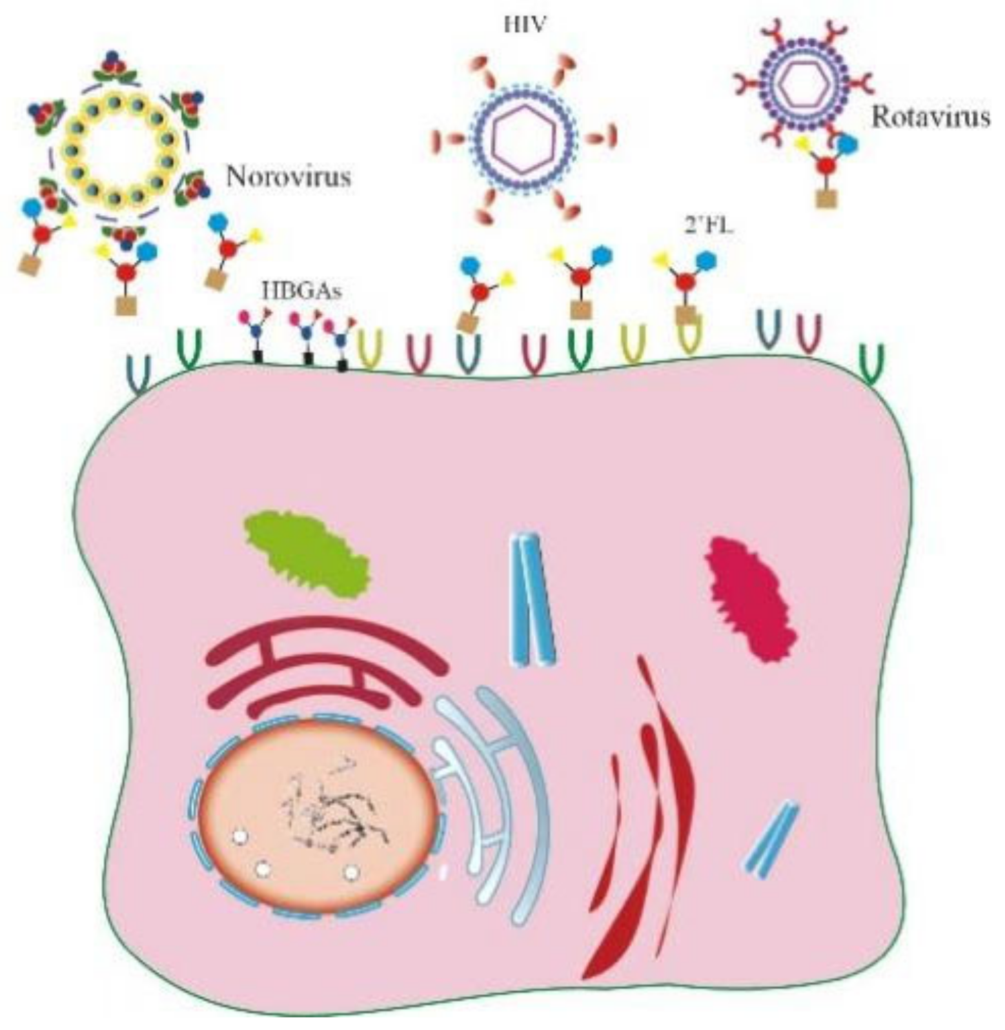 Ijms 23 13727 g006 Ijms 23 13727 g006