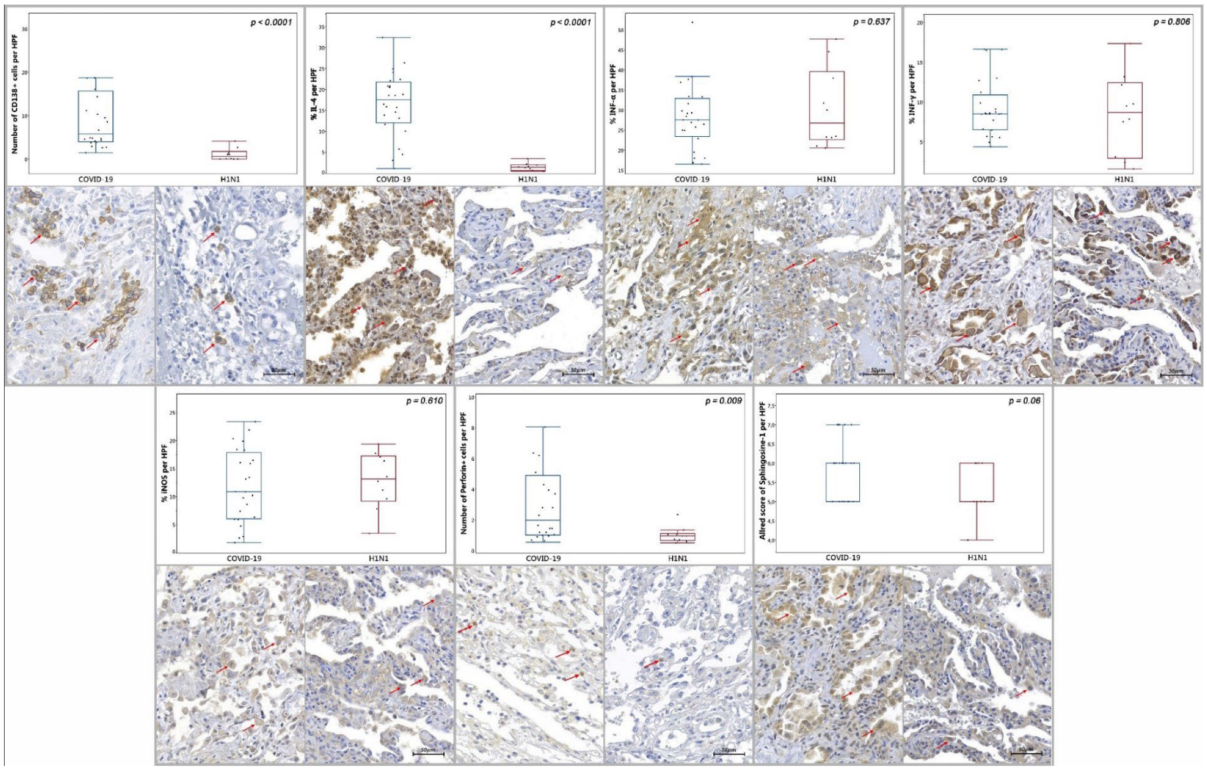 Ijms 23 13734 g002 Ijms 23 13734 g002