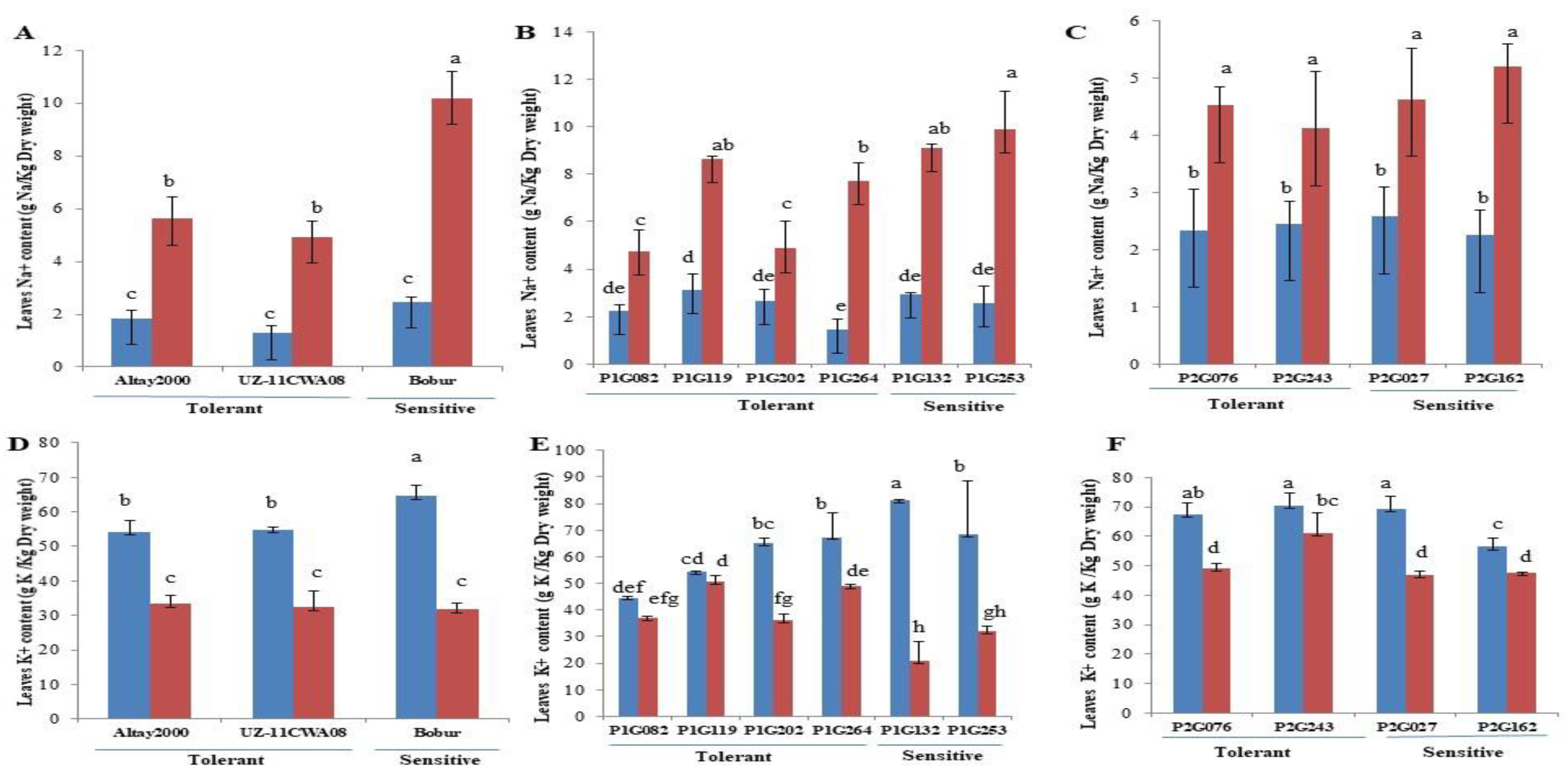 Ijms 23 13745 g001 Ijms 23 13745 g001