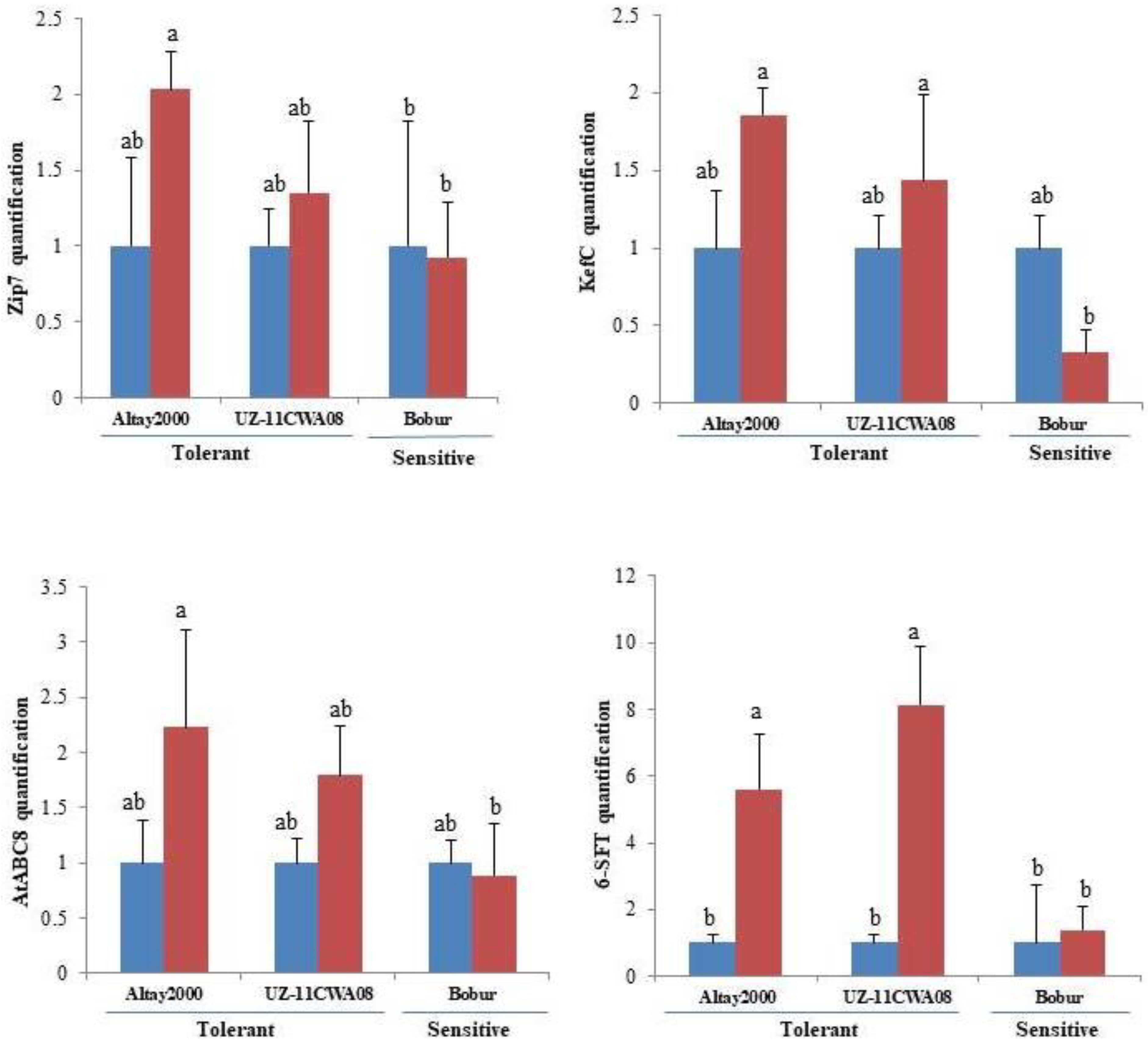 Ijms 23 13745 g004 Ijms 23 13745 g004