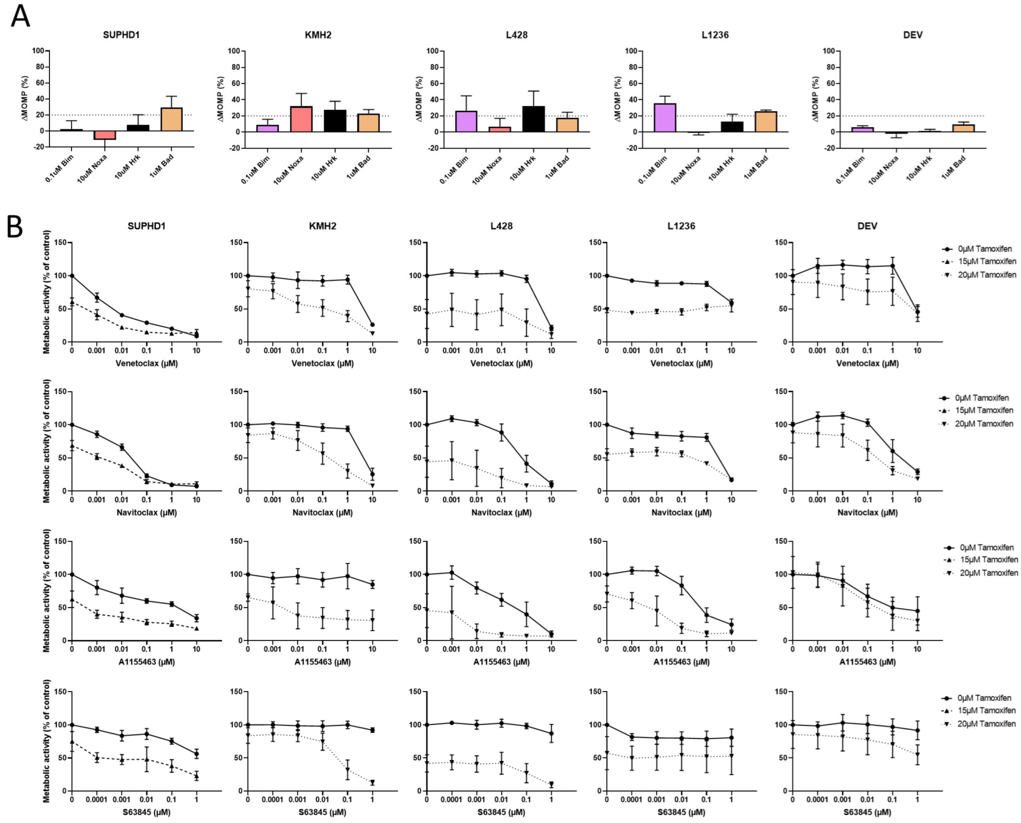 Ijms 23 13751 g004 Ijms 23 13751 g004