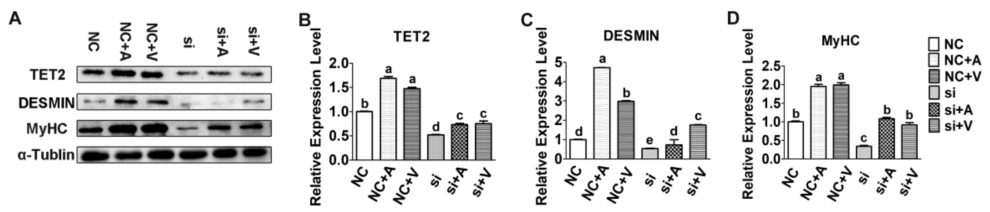Ijms 23 13758 g003 Ijms 23 13758 g003