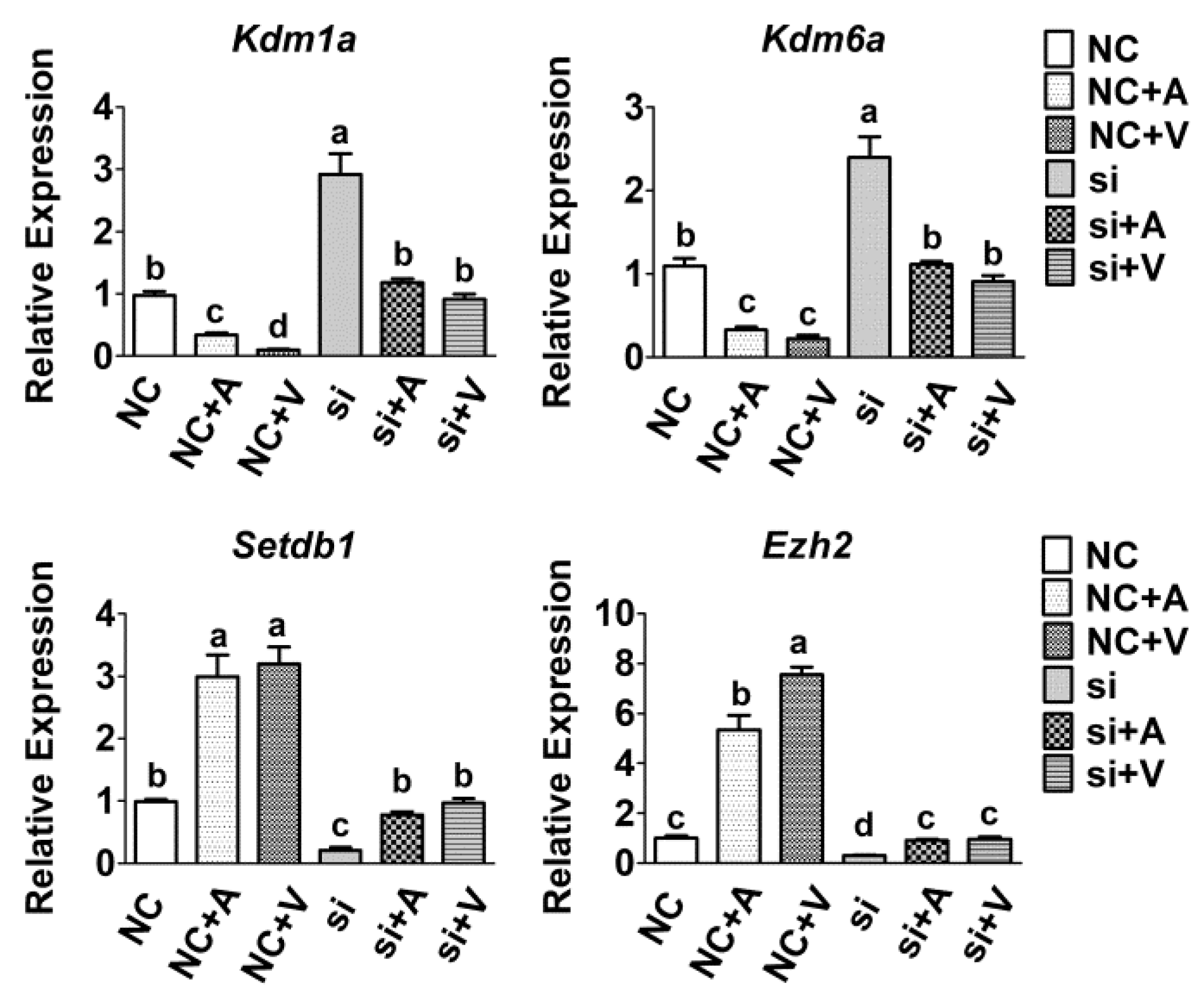 Ijms 23 13758 g006 Ijms 23 13758 g006