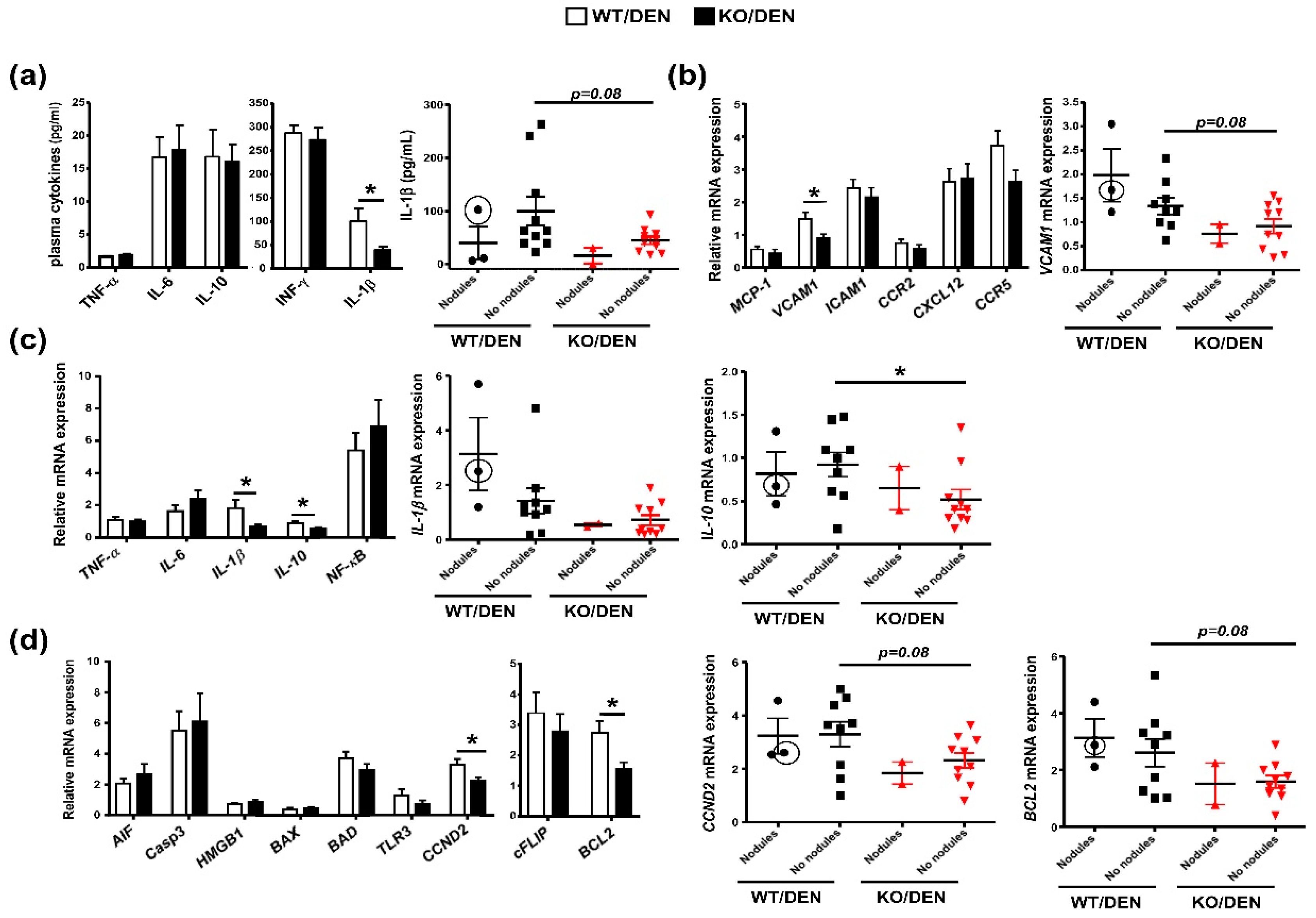Ijms 23 13760 g003 Ijms 23 13760 g003
