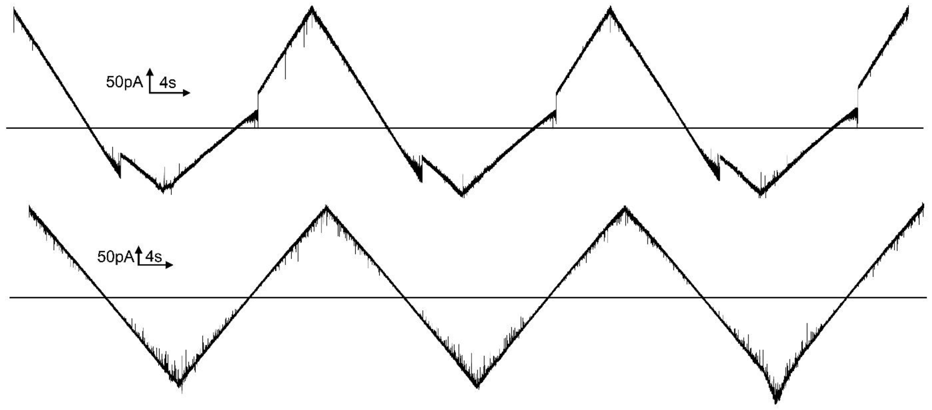 Ijms 23 13765 g008 Ijms 23 13765 g008