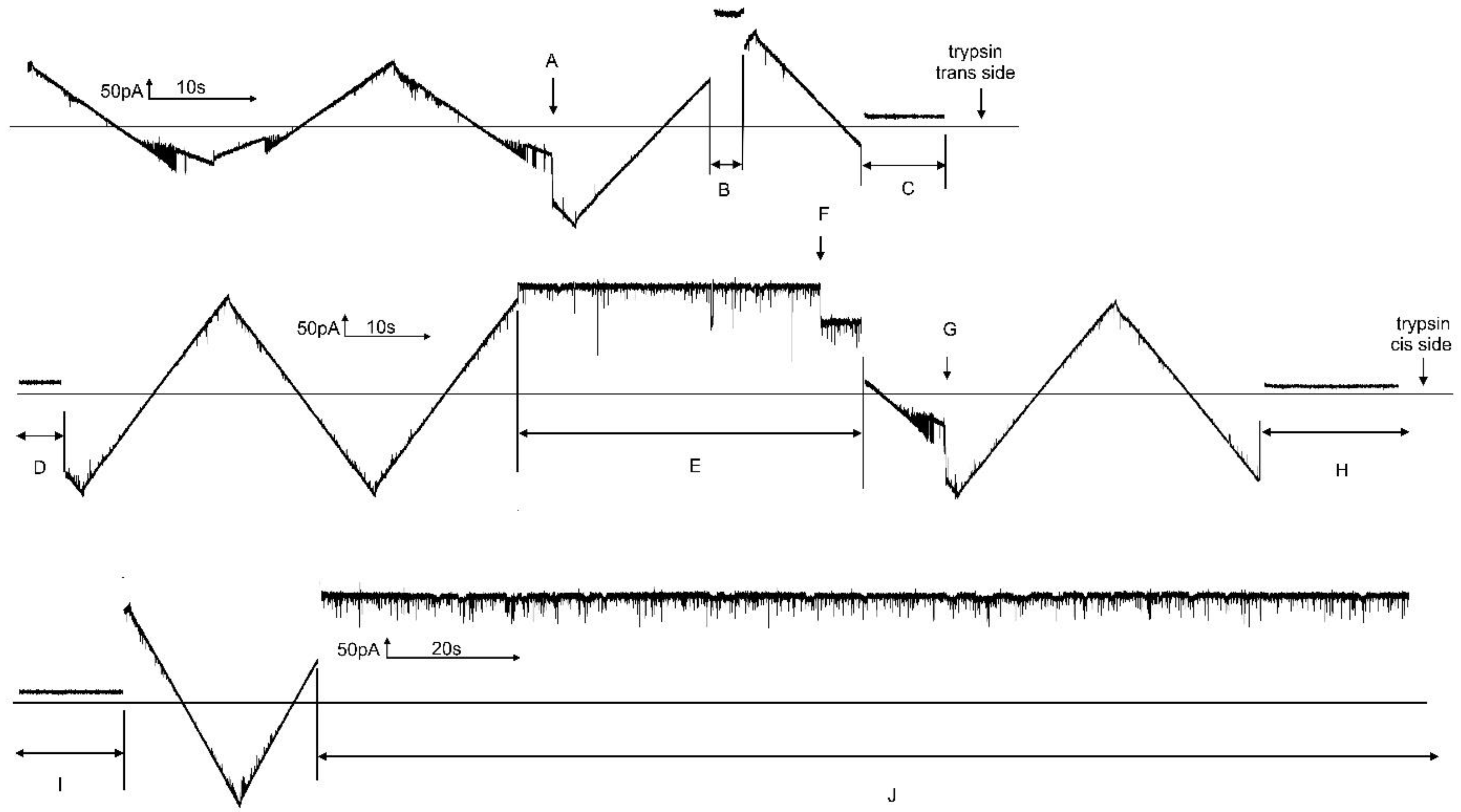 Ijms 23 13765 g011 Ijms 23 13765 g011