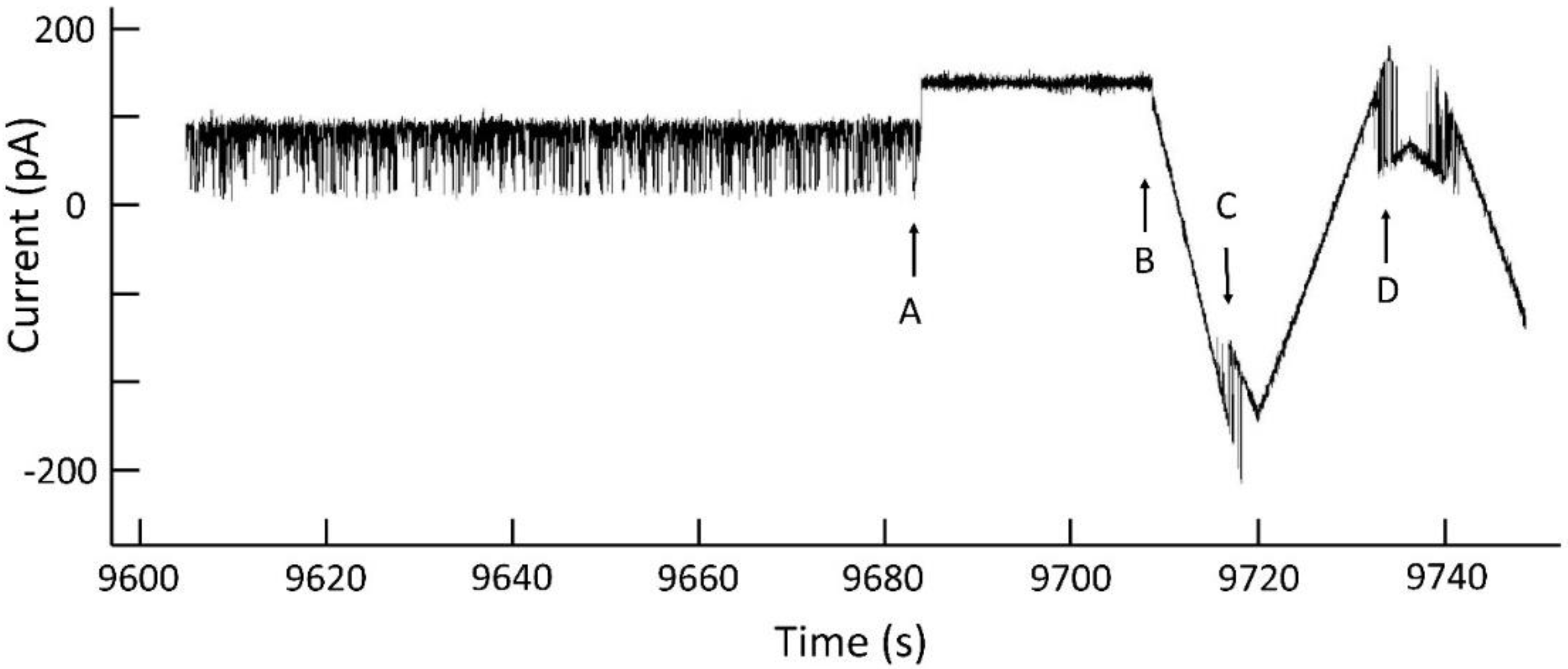 Ijms 23 13765 g015 Ijms 23 13765 g015