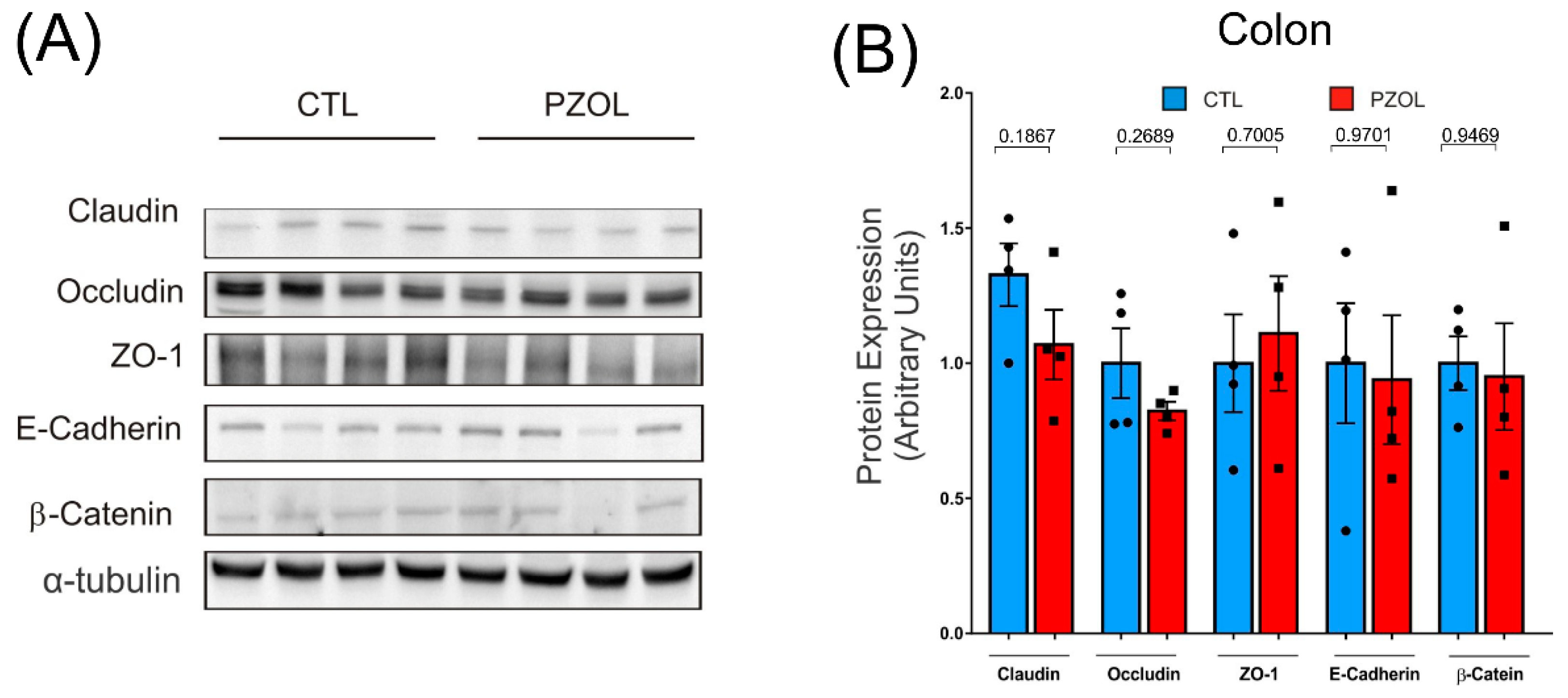 Ijms 23 13766 g005 Ijms 23 13766 g005