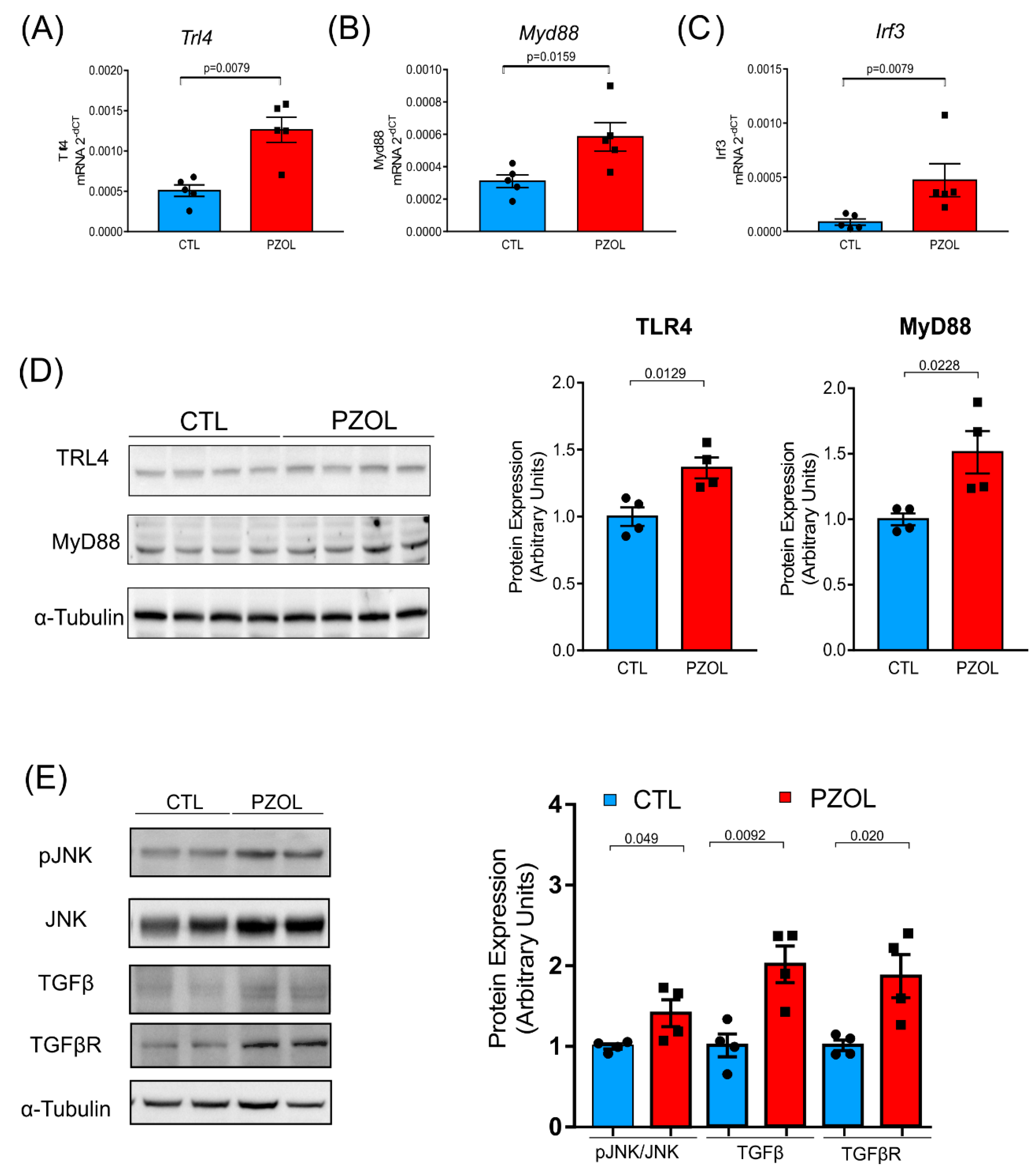 Ijms 23 13766 g009 Ijms 23 13766 g009
