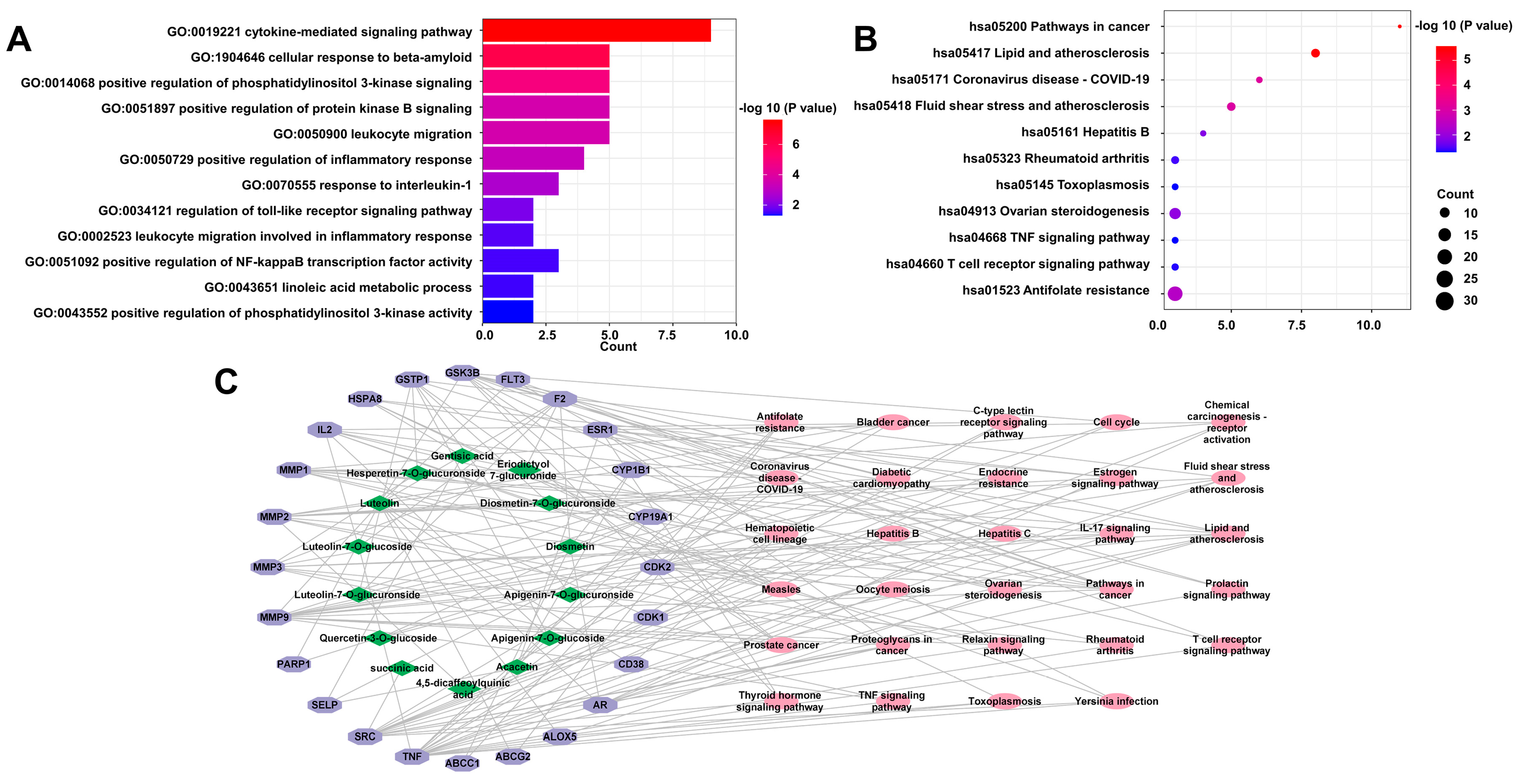 Ijms 23 13767 g002 Ijms 23 13767 g002