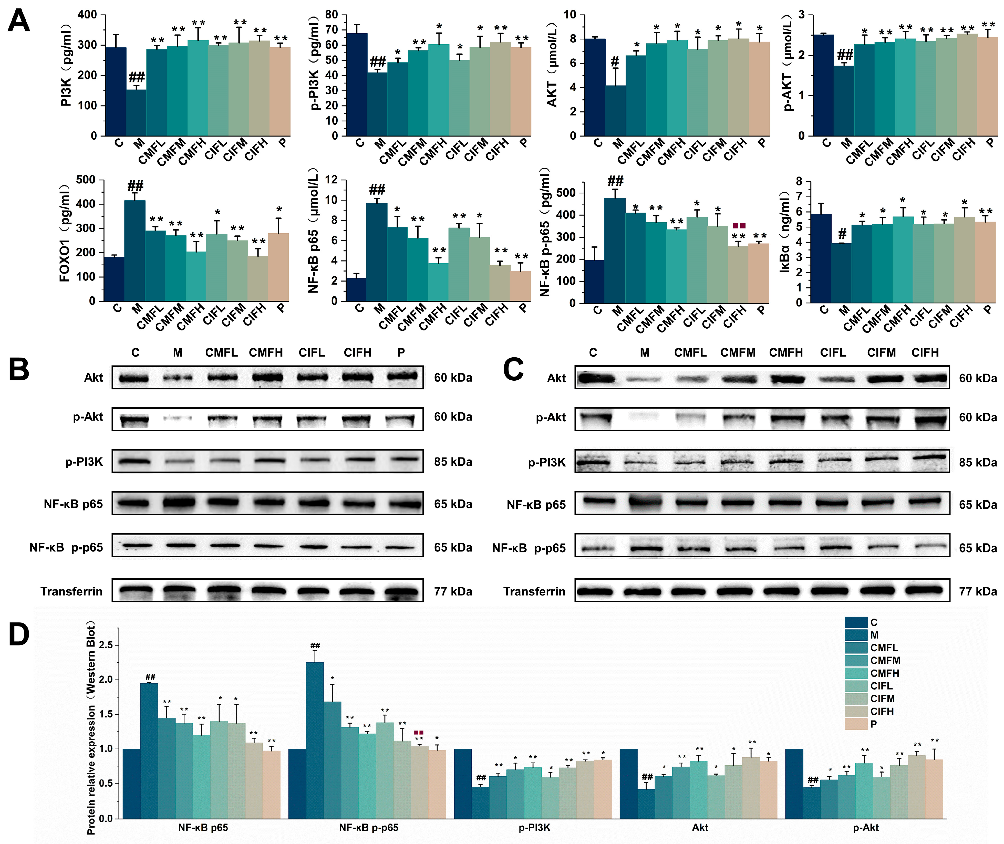 Ijms 23 13767 g007 Ijms 23 13767 g007