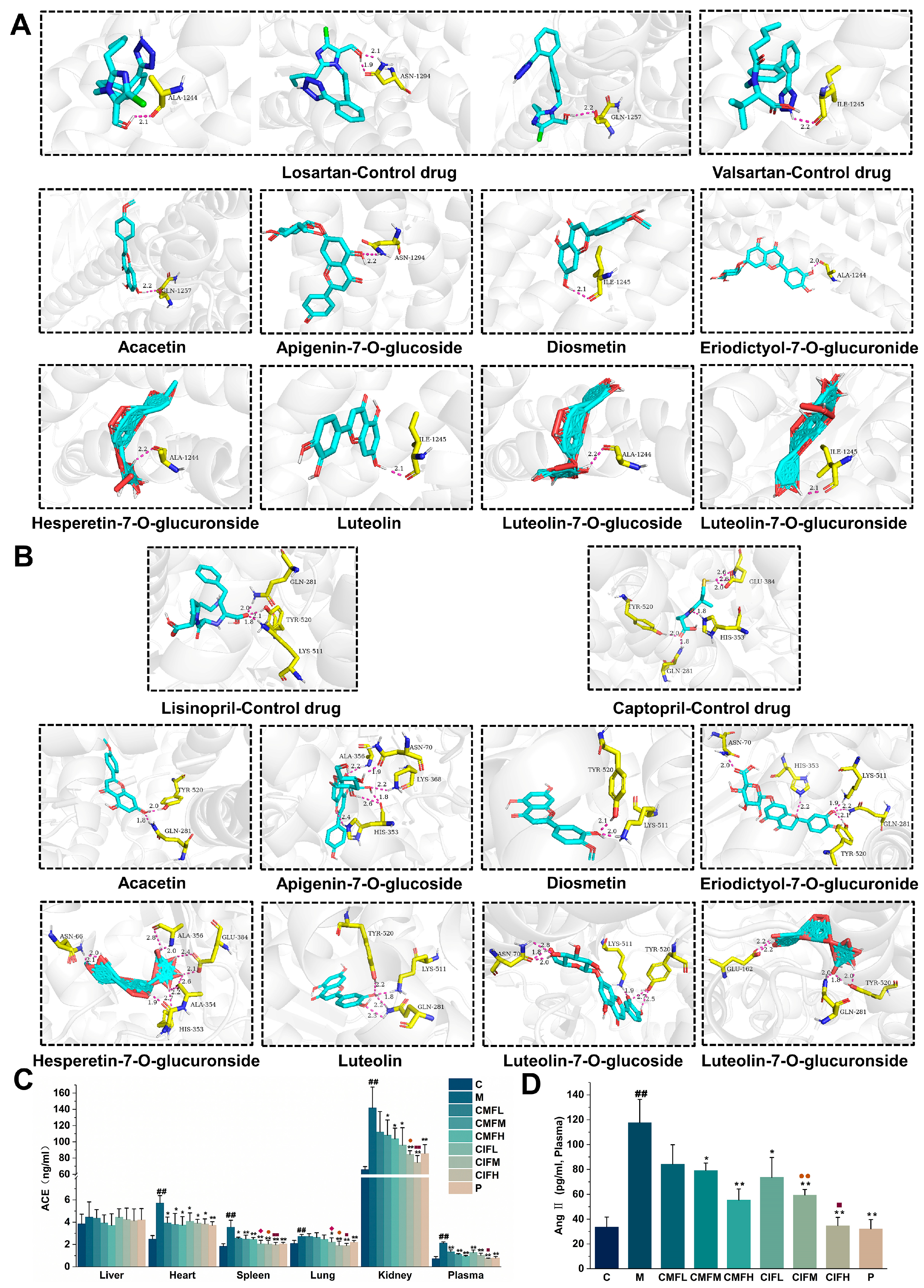 Ijms 23 13767 g008 Ijms 23 13767 g008
