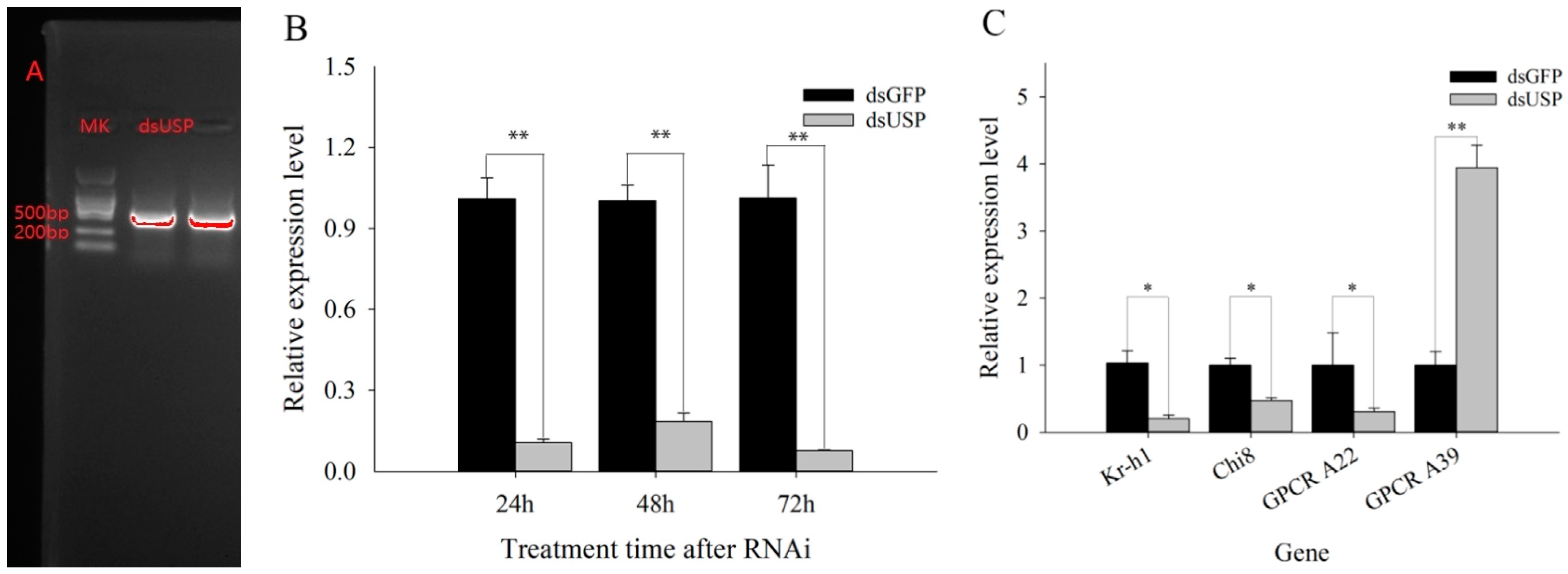 Ijms 23 13769 g003 Ijms 23 13769 g003