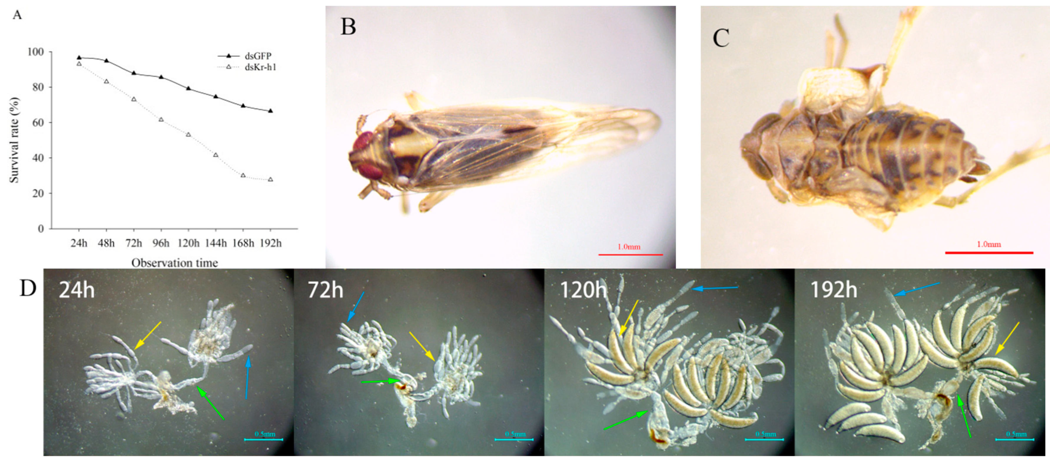 Ijms 23 13769 g006a Ijms 23 13769 g006a