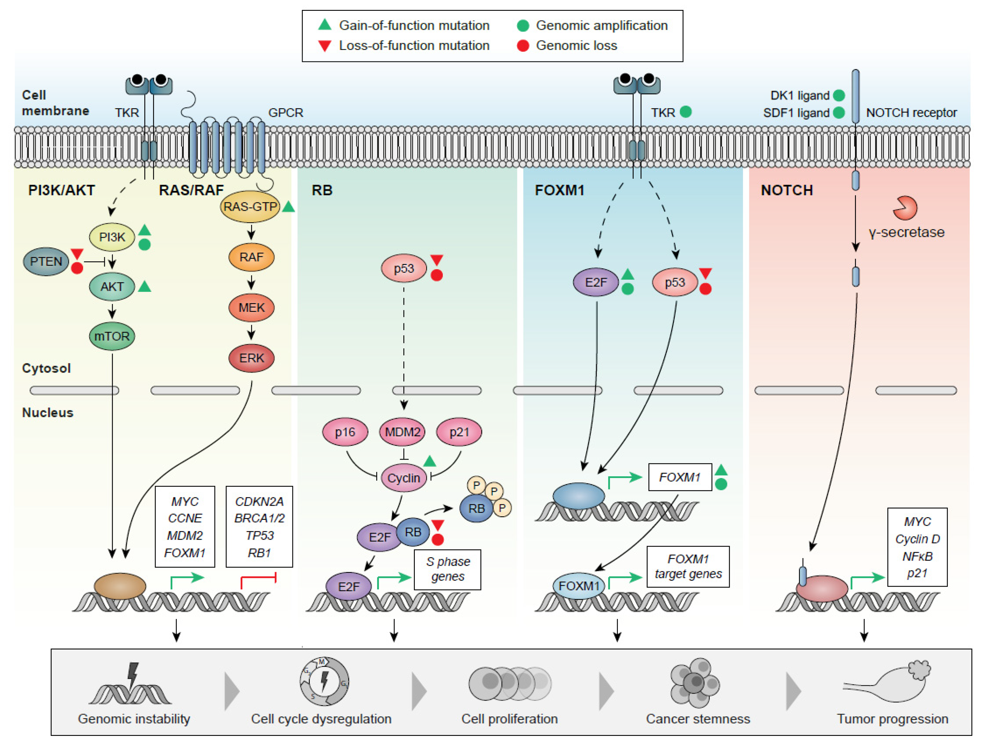Ijms 23 13777 g002 Ijms 23 13777 g002