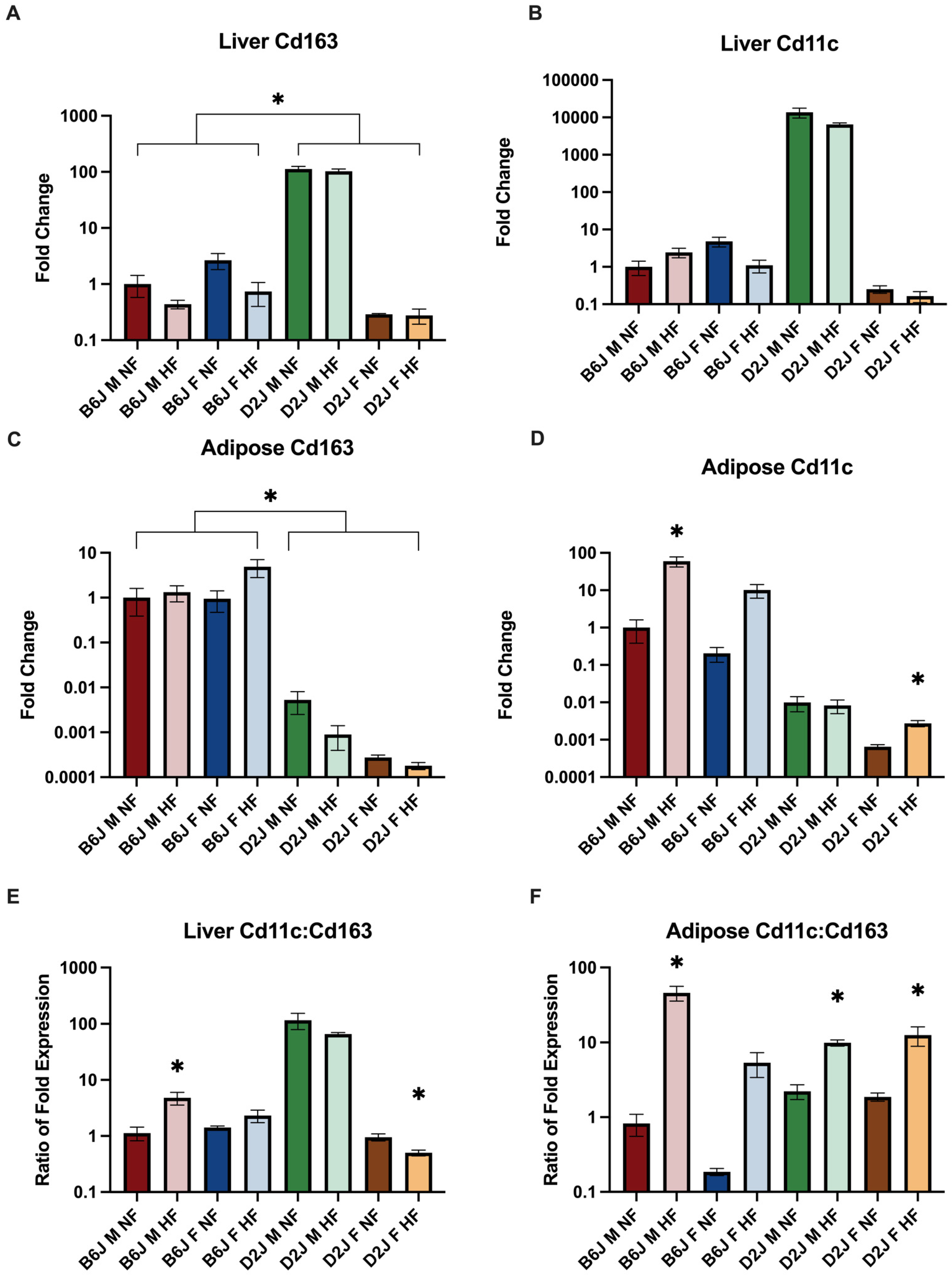 Ijms 23 13778 g005 Ijms 23 13778 g005