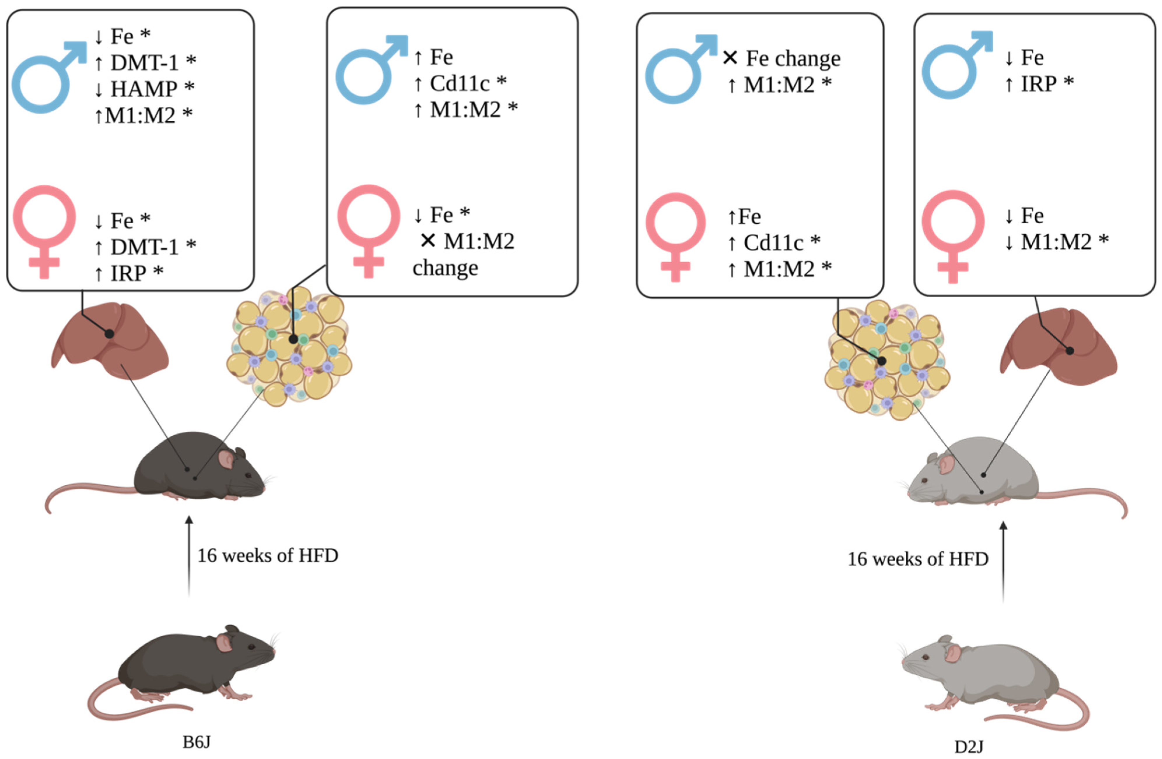 Ijms 23 13778 g006 Ijms 23 13778 g006