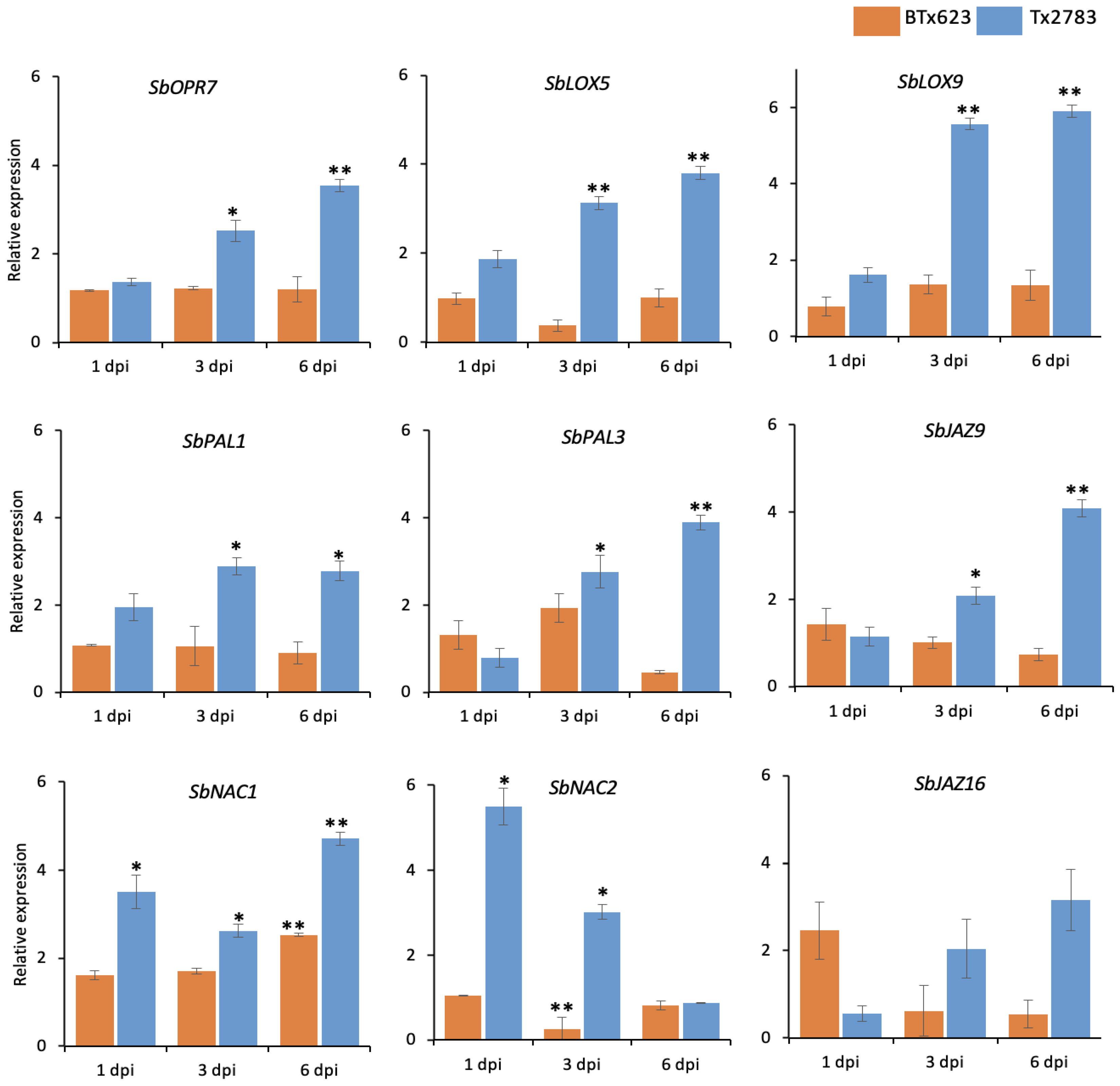 Ijms 23 13782 g005 Ijms 23 13782 g005