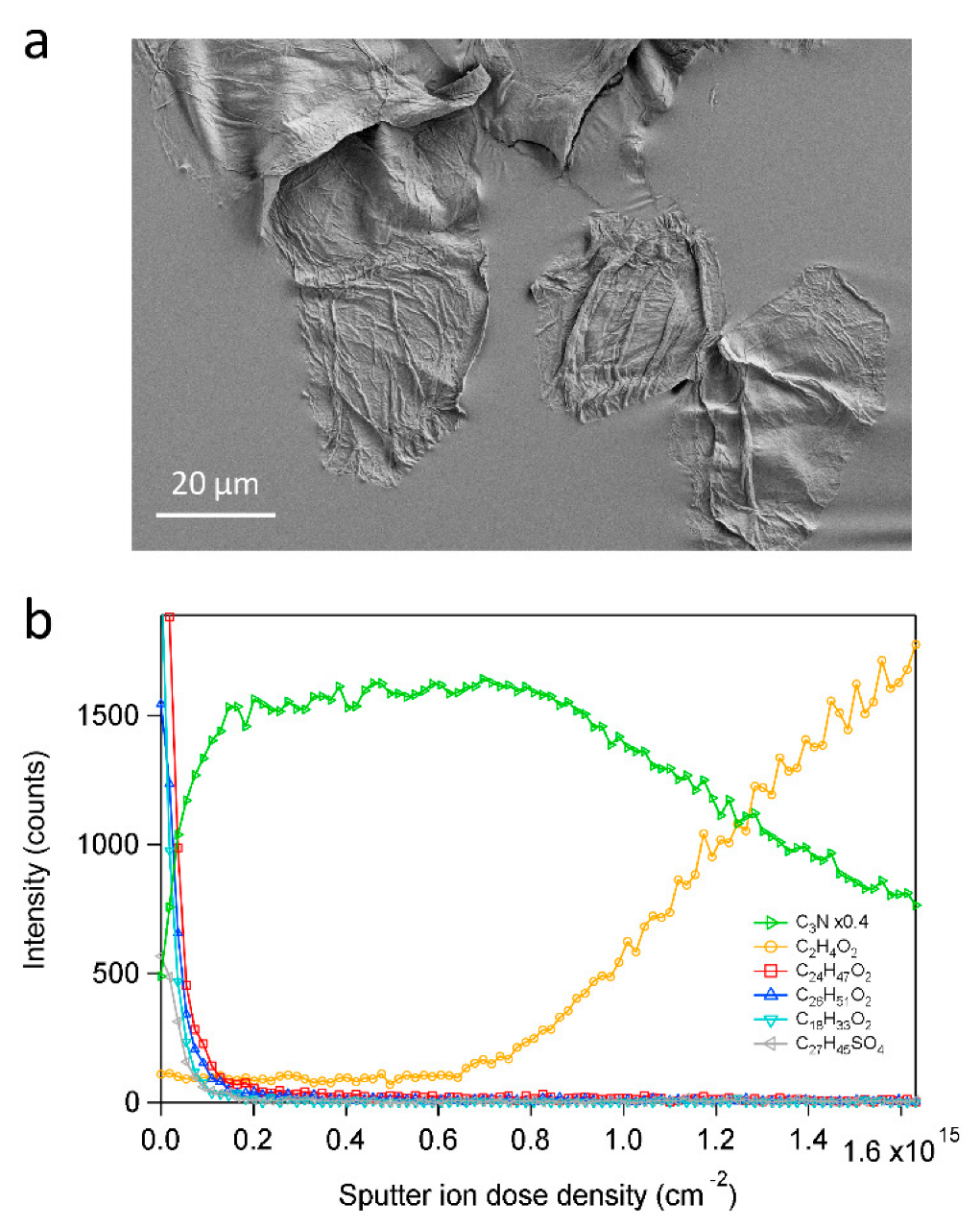Ijms 23 13799 g002 Ijms 23 13799 g002