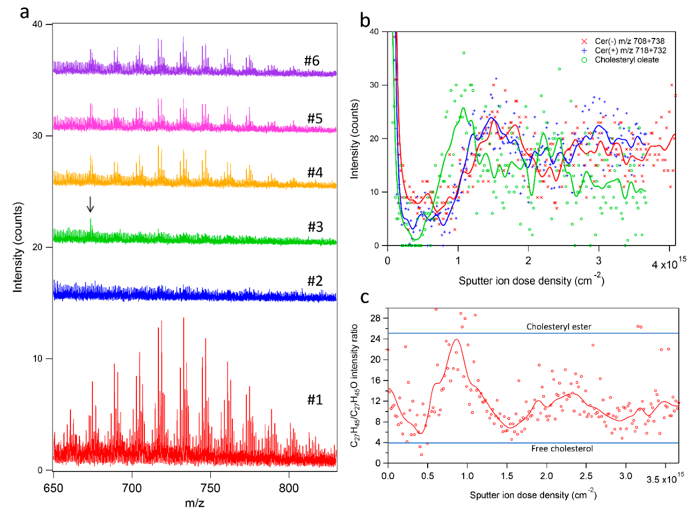 Ijms 23 13799 g005 Ijms 23 13799 g005