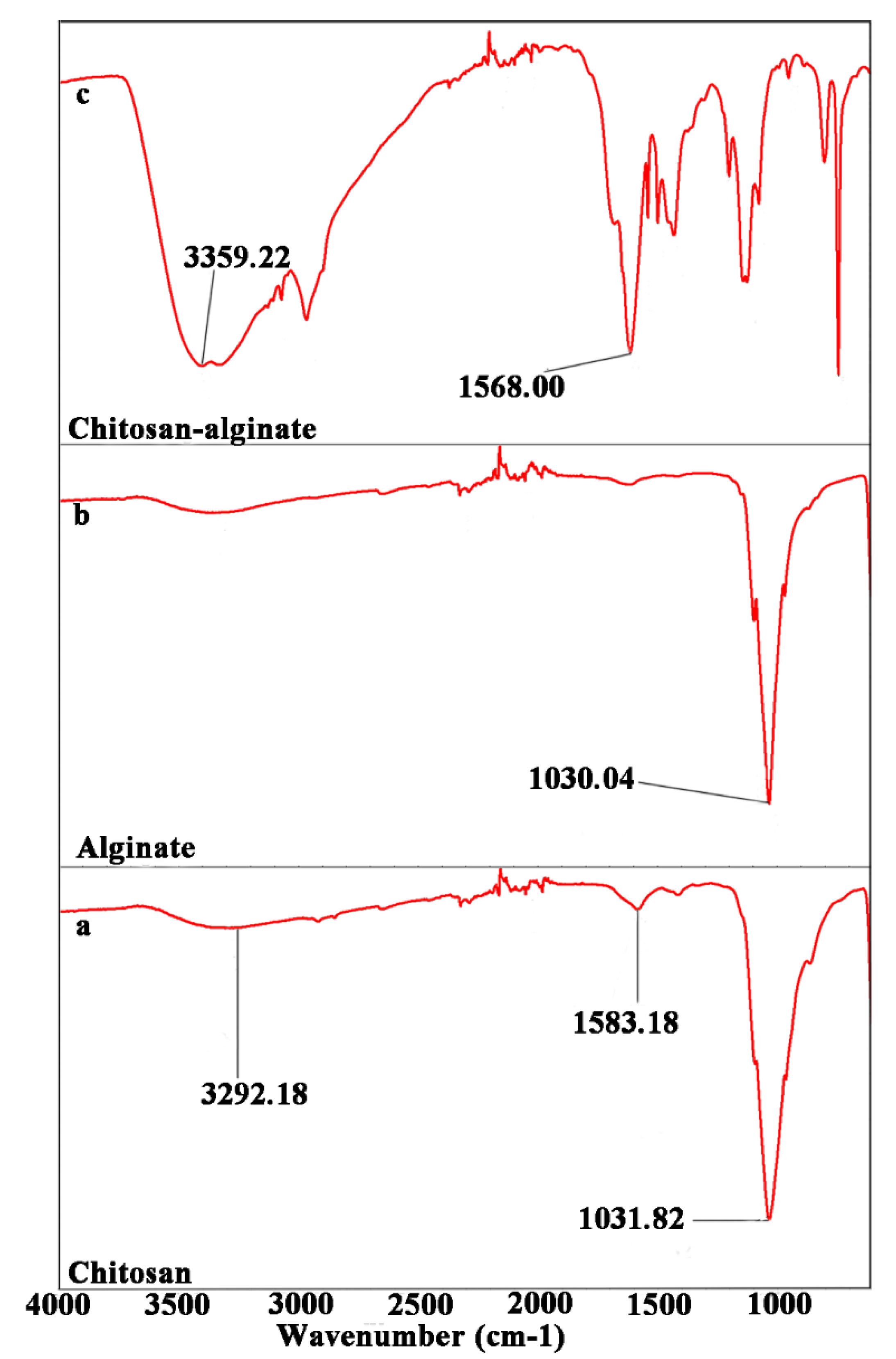 Ijms 23 13810 g004 Ijms 23 13810 g004