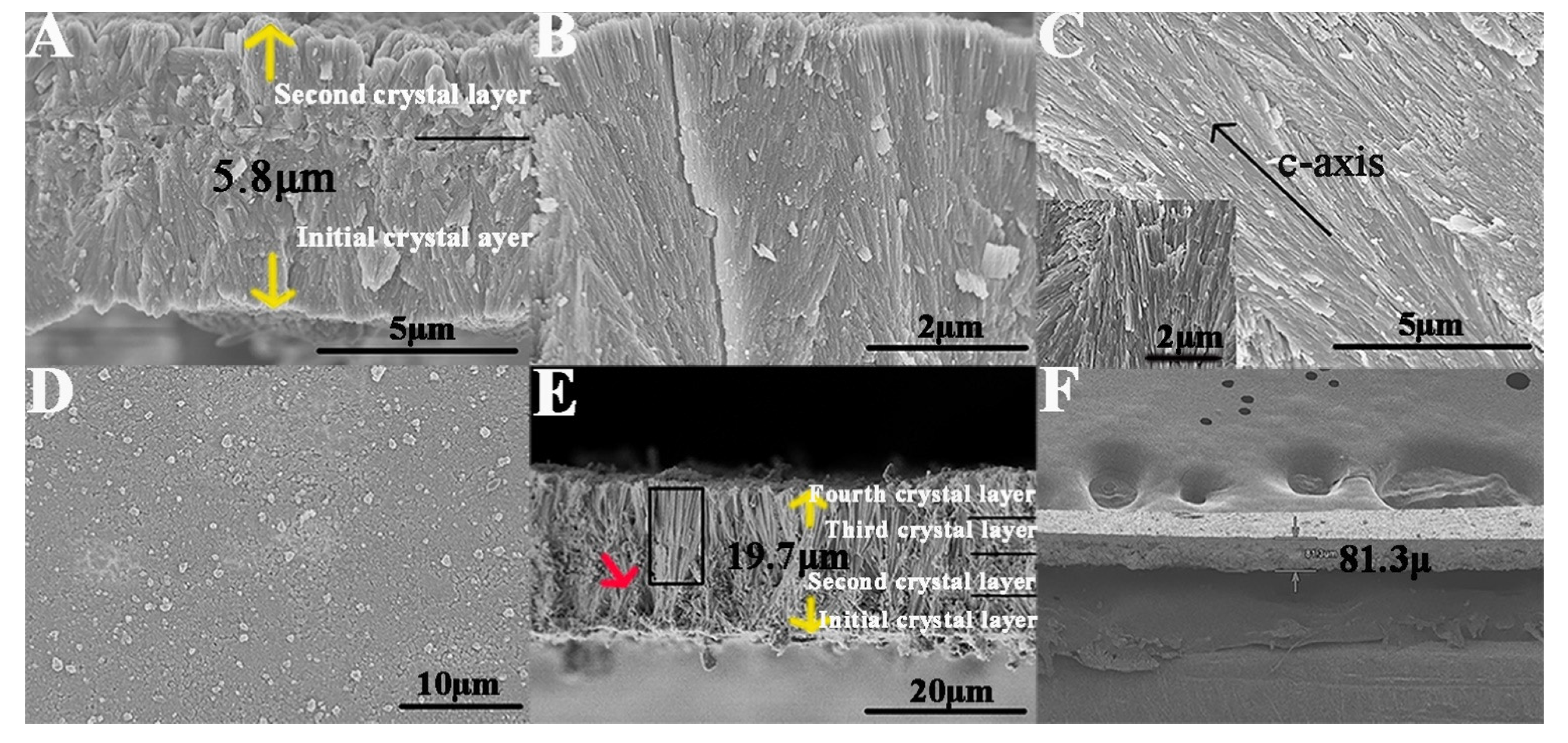 Ijms 23 13810 g006 Ijms 23 13810 g006