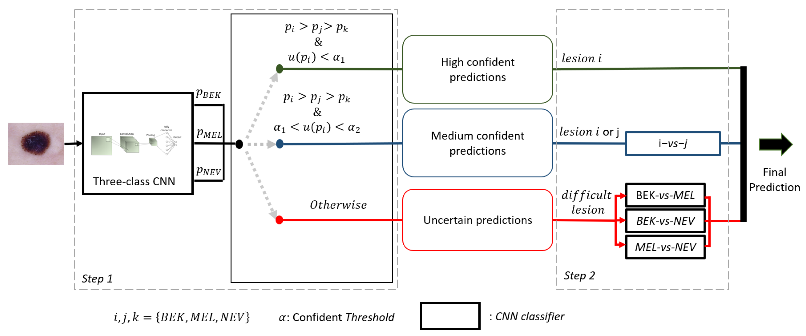 Ijms 23 13838 g003 Ijms 23 13838 g003