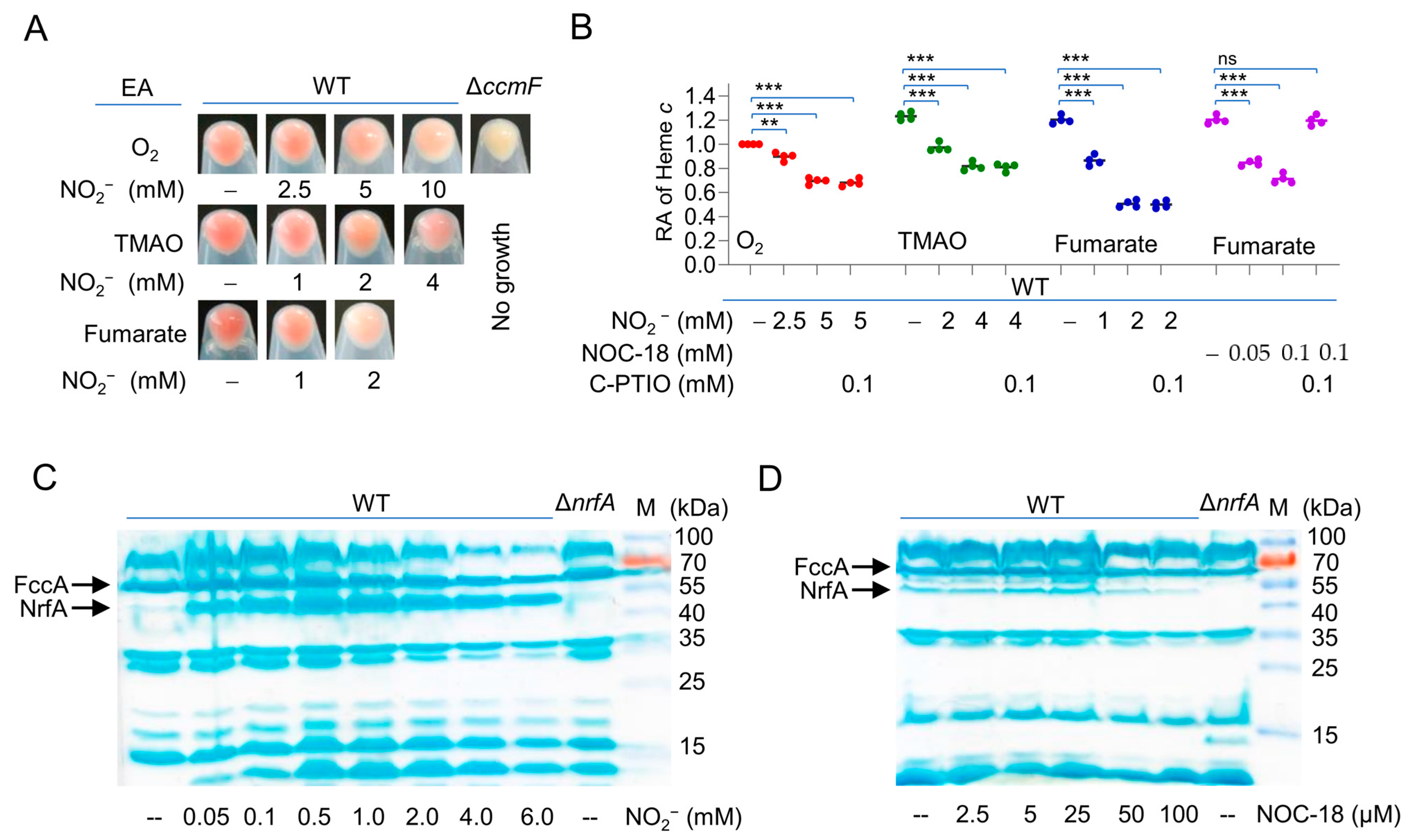 Ijms 23 13841 g001 Ijms 23 13841 g001