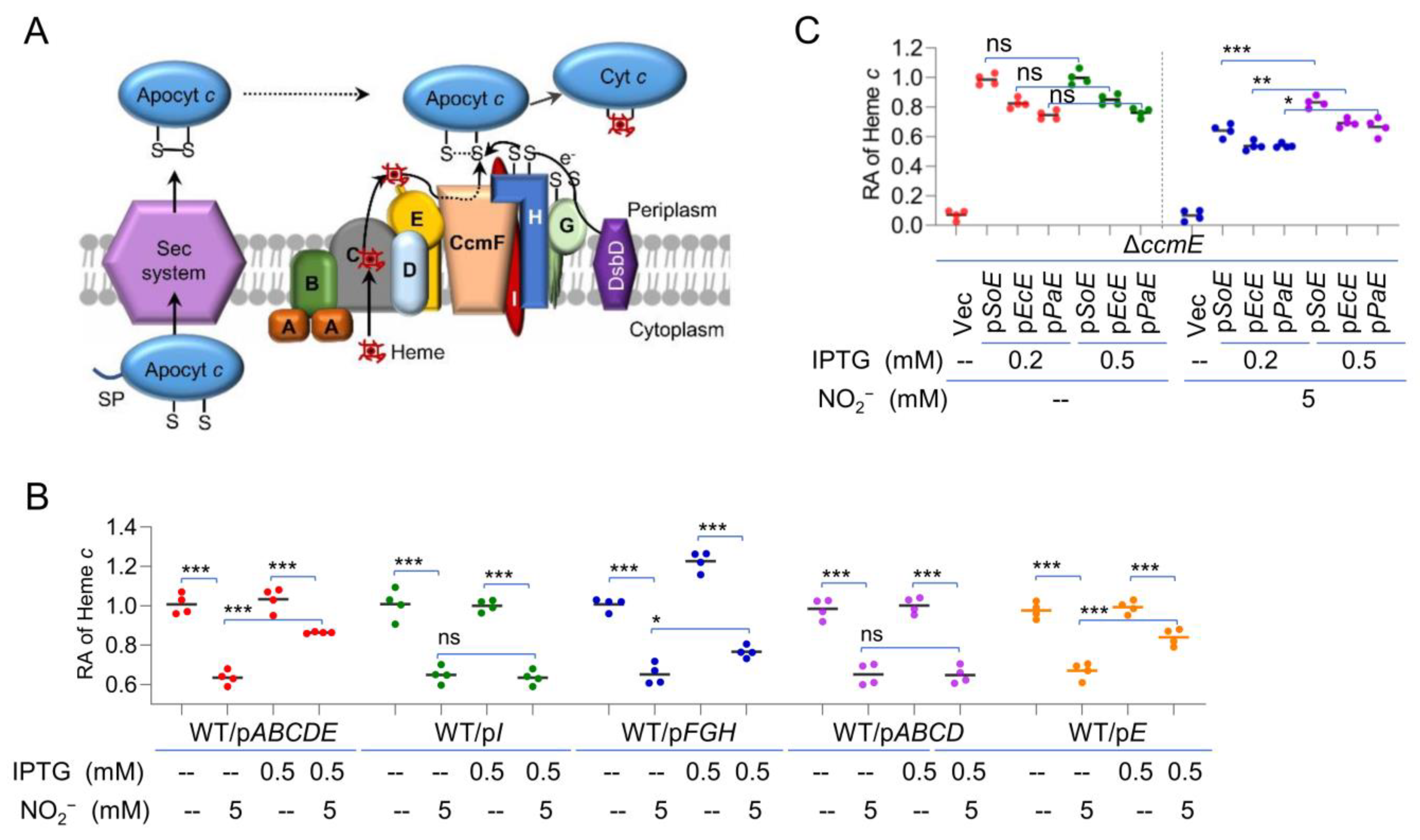 Ijms 23 13841 g005 Ijms 23 13841 g005
