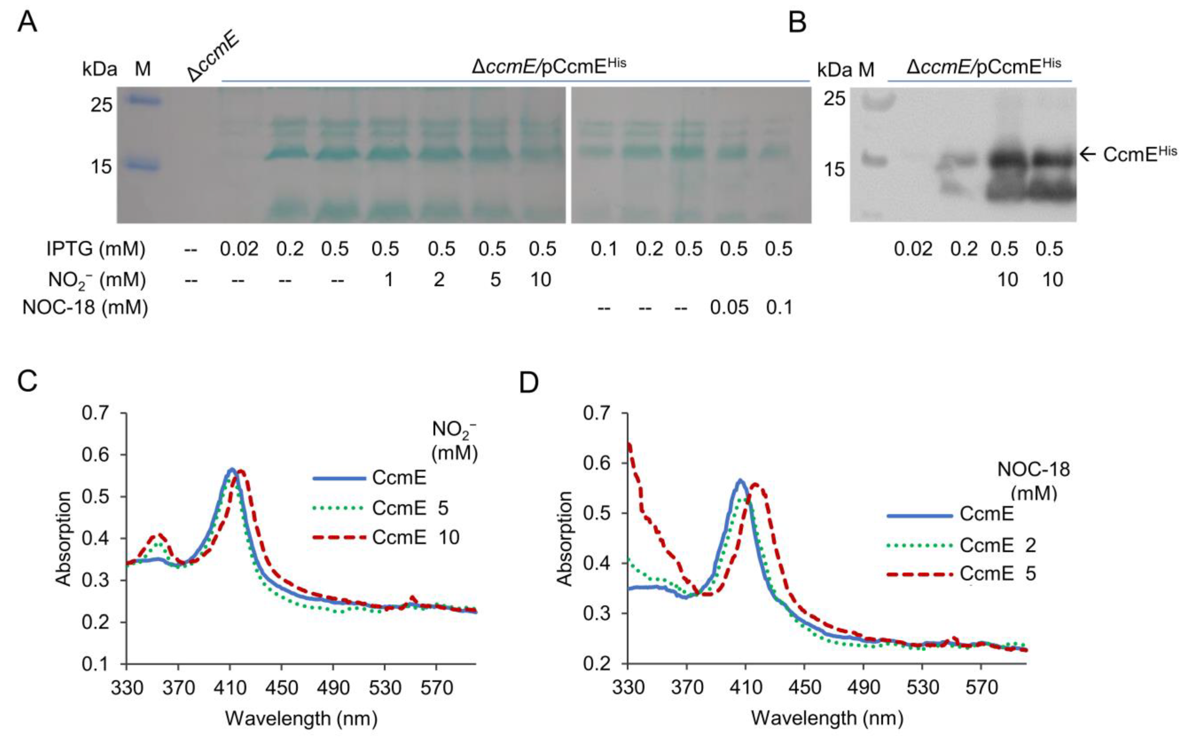 Ijms 23 13841 g006 Ijms 23 13841 g006
