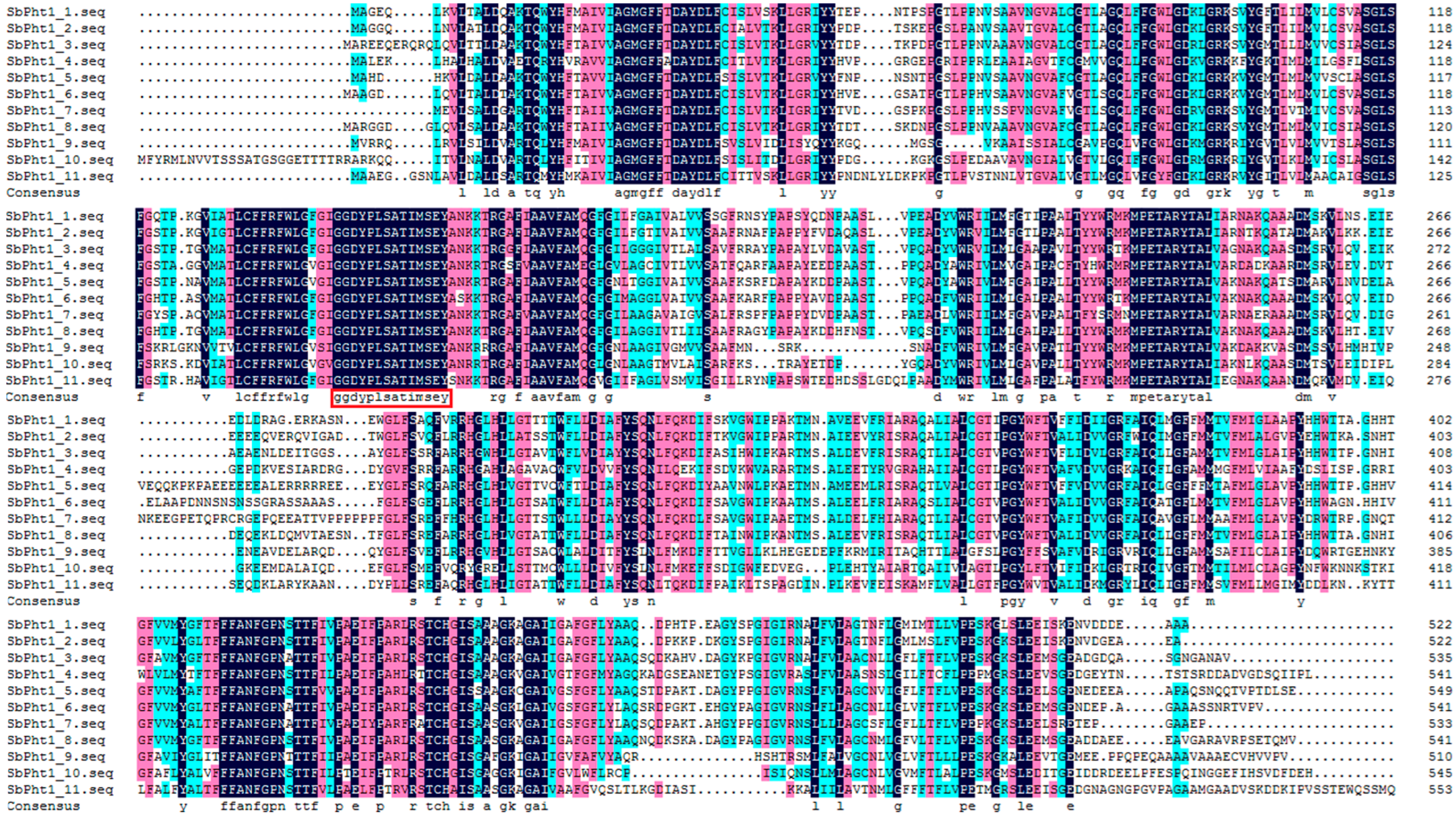 Ijms 23 13855 g001 Ijms 23 13855 g001