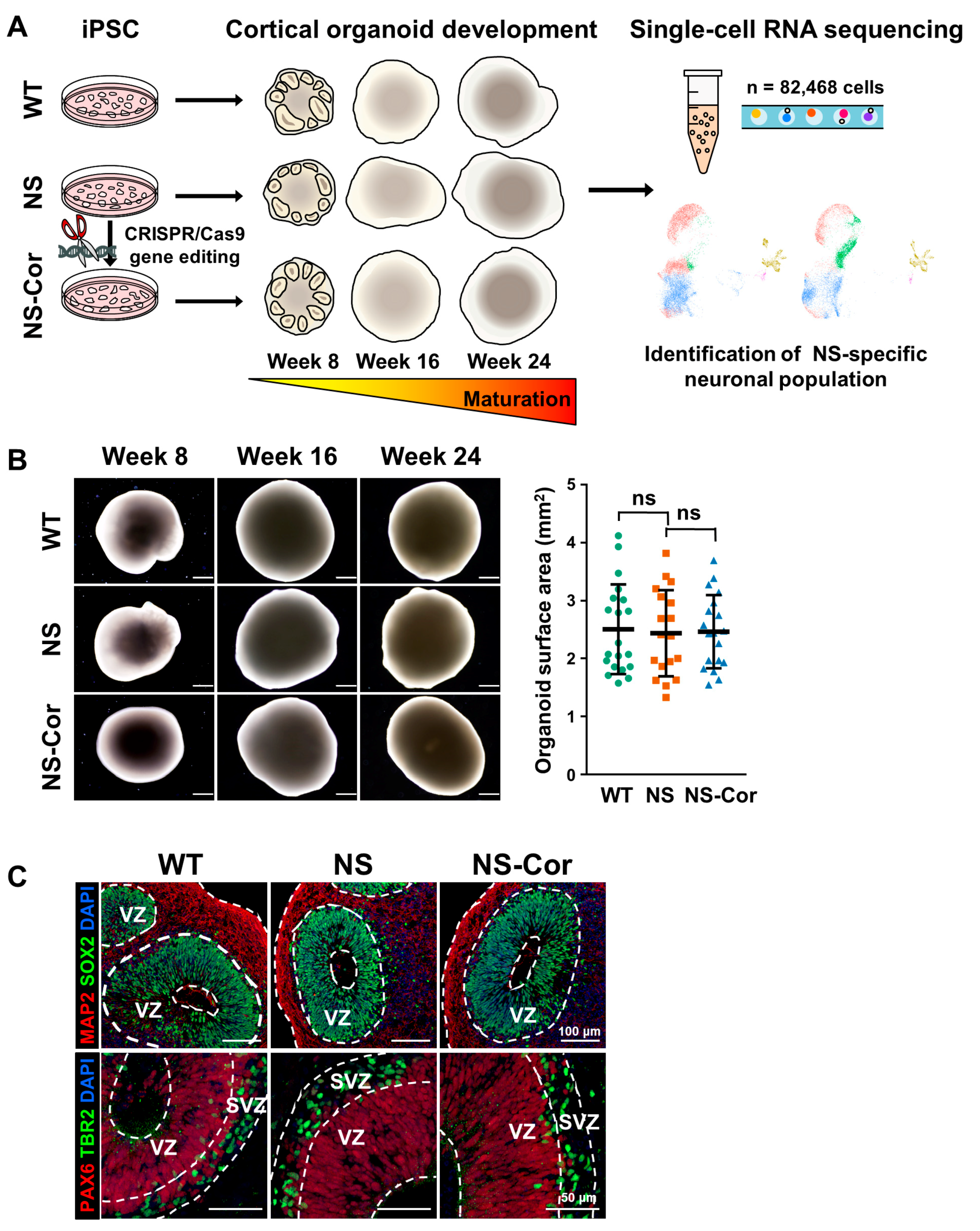 Ijms 23 13861 g001 Ijms 23 13861 g001
