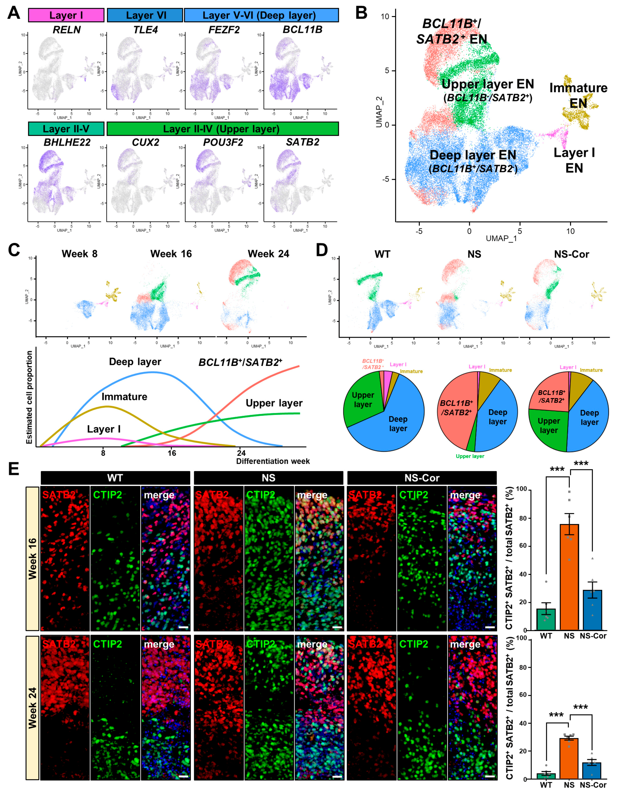 Ijms 23 13861 g003 Ijms 23 13861 g003