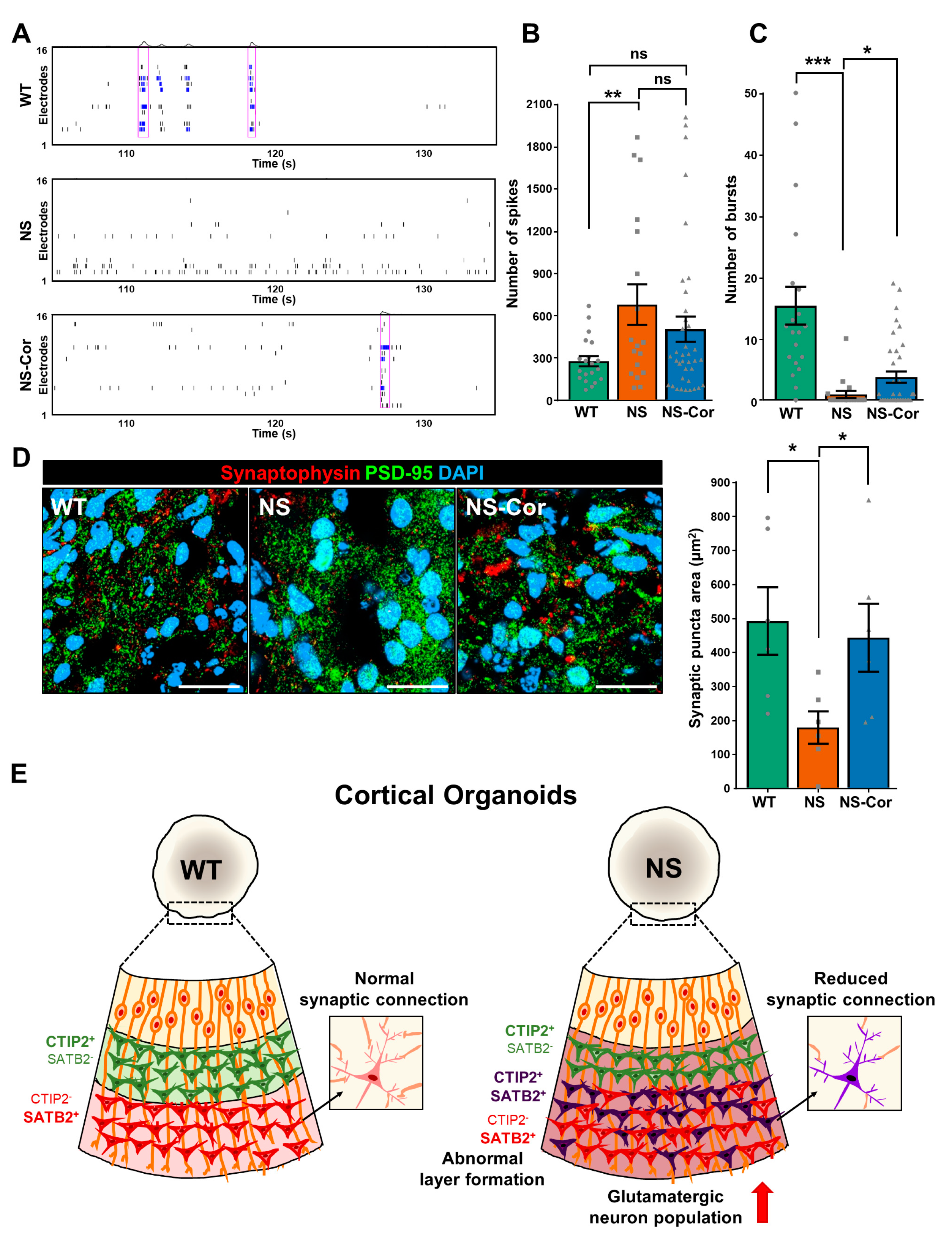 Ijms 23 13861 g004 Ijms 23 13861 g004