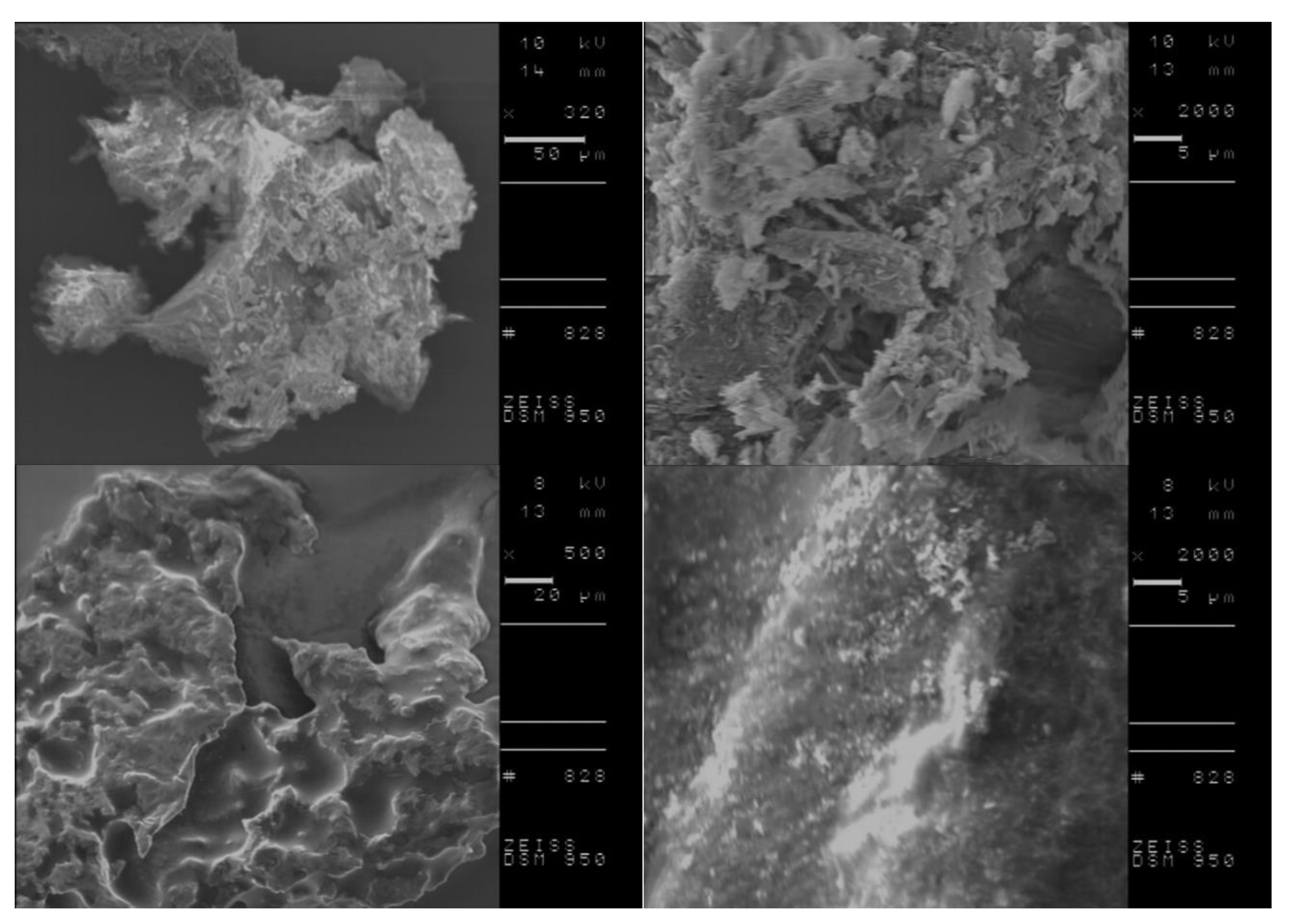 Ijms 23 13863 g006 Ijms 23 13863 g006