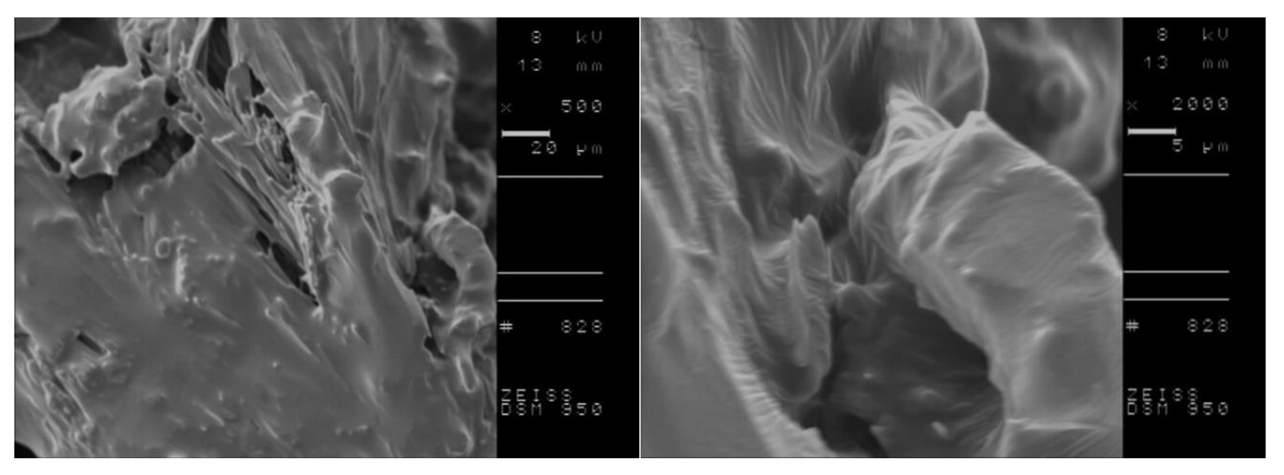 Ijms 23 13863 g007a Ijms 23 13863 g007a