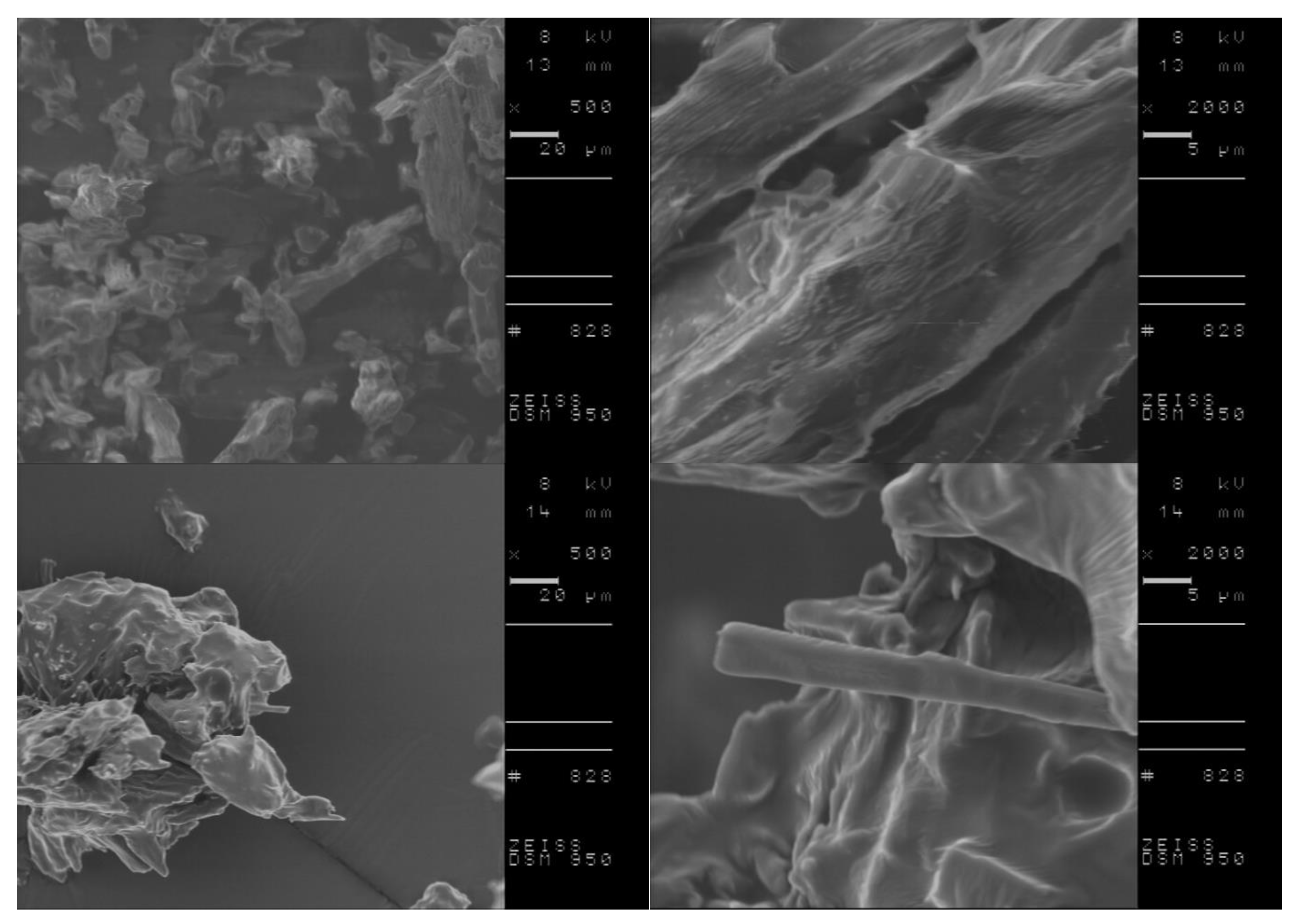 Ijms 23 13863 g009 Ijms 23 13863 g009