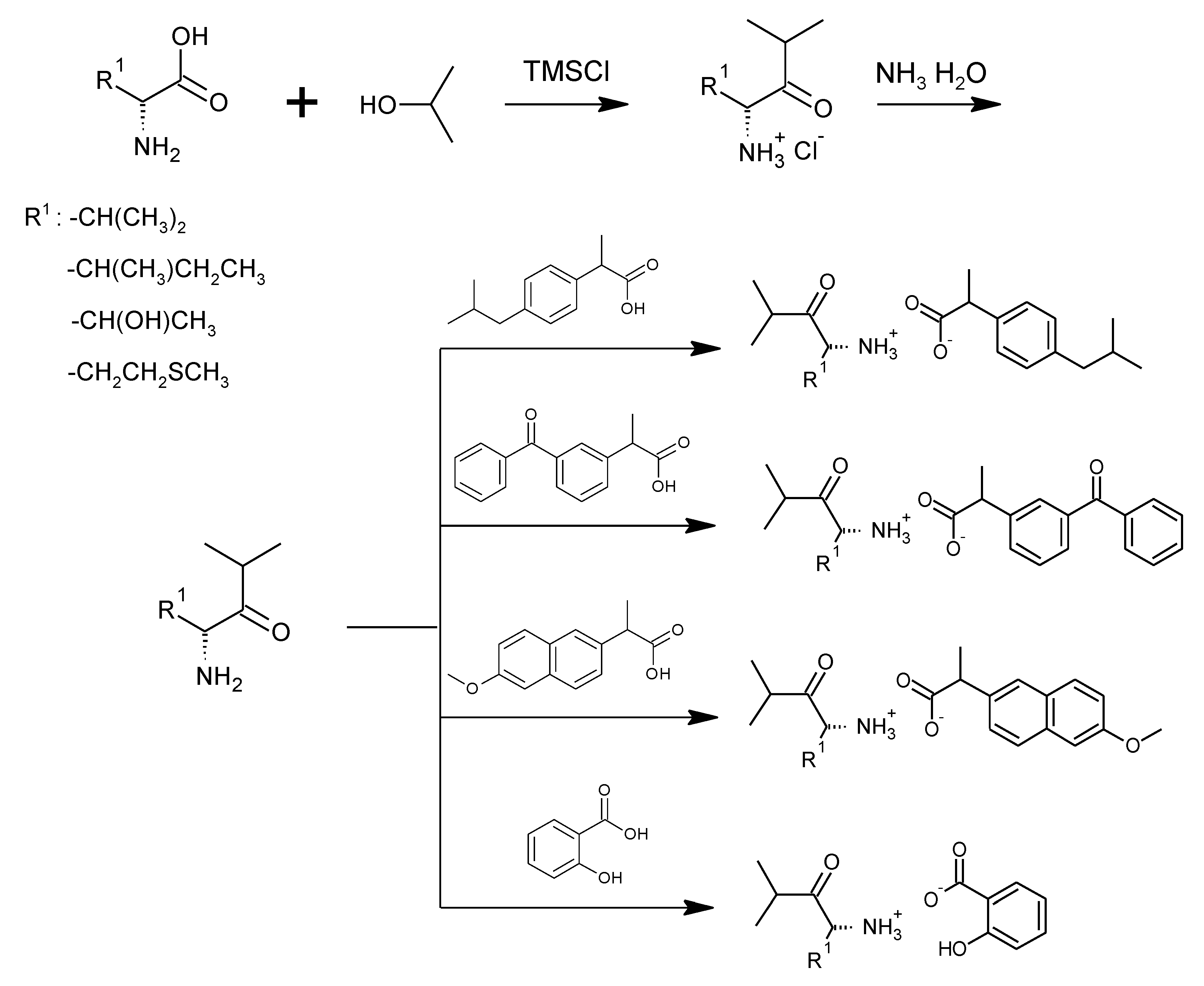Ijms 23 13863 g010 Ijms 23 13863 g010